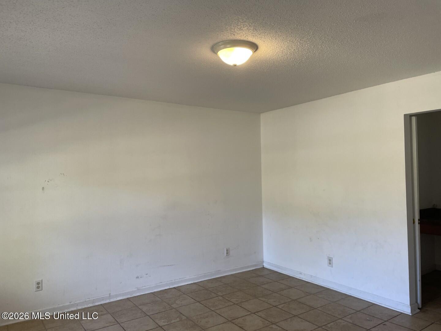 111 N Lang Avenue Property Photo 5