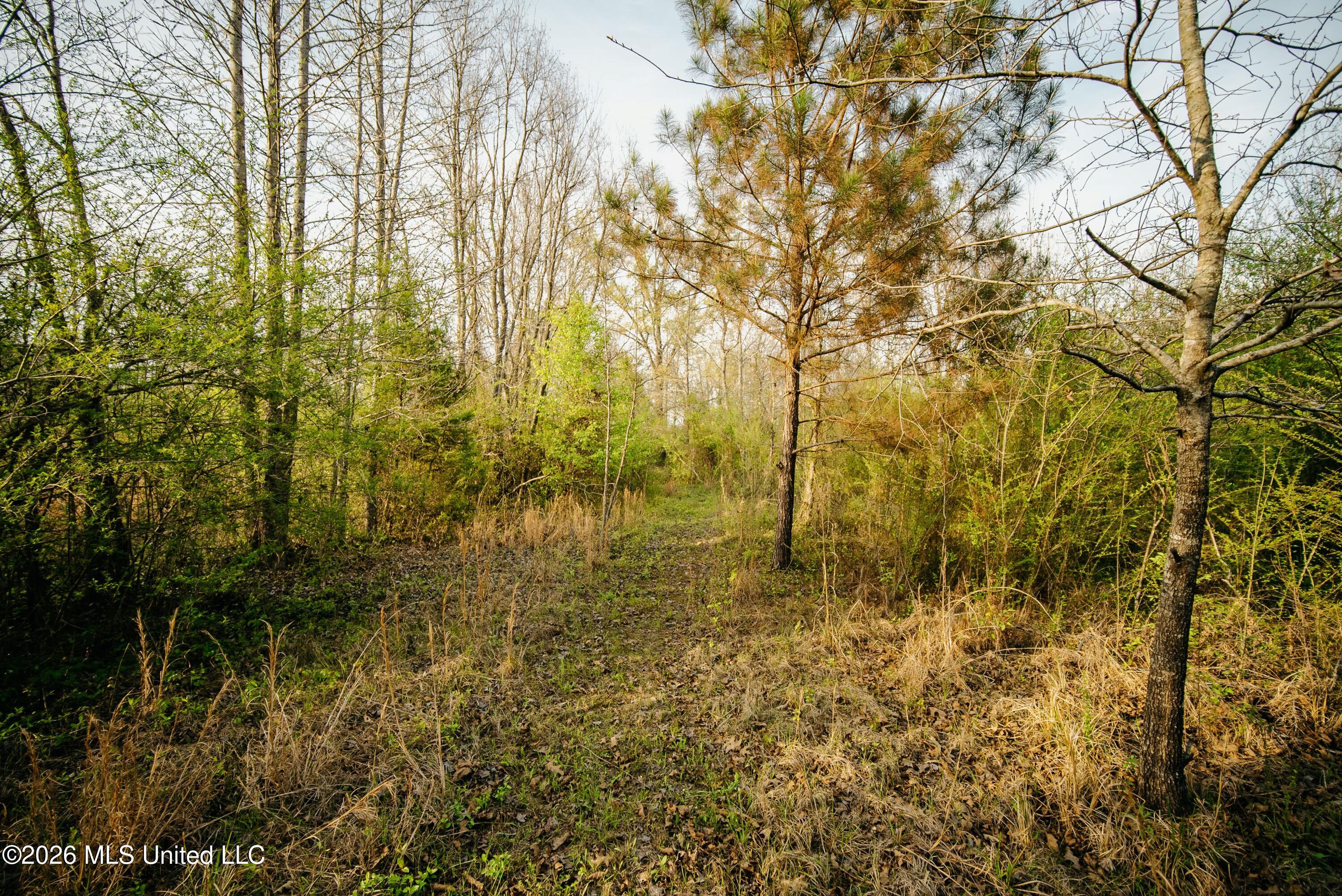 1844 Volley Campbell Road Property Photo 22