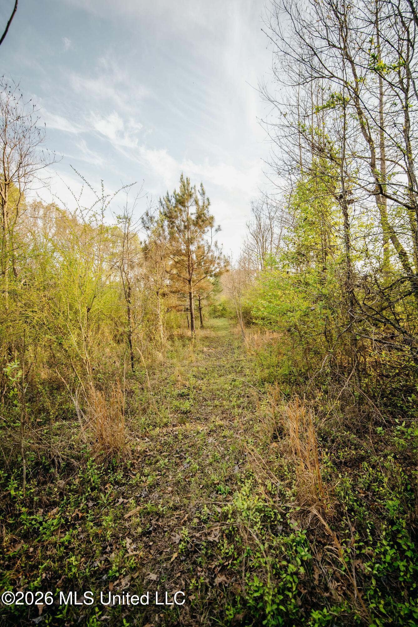 1844 Volley Campbell Road Property Photo 23