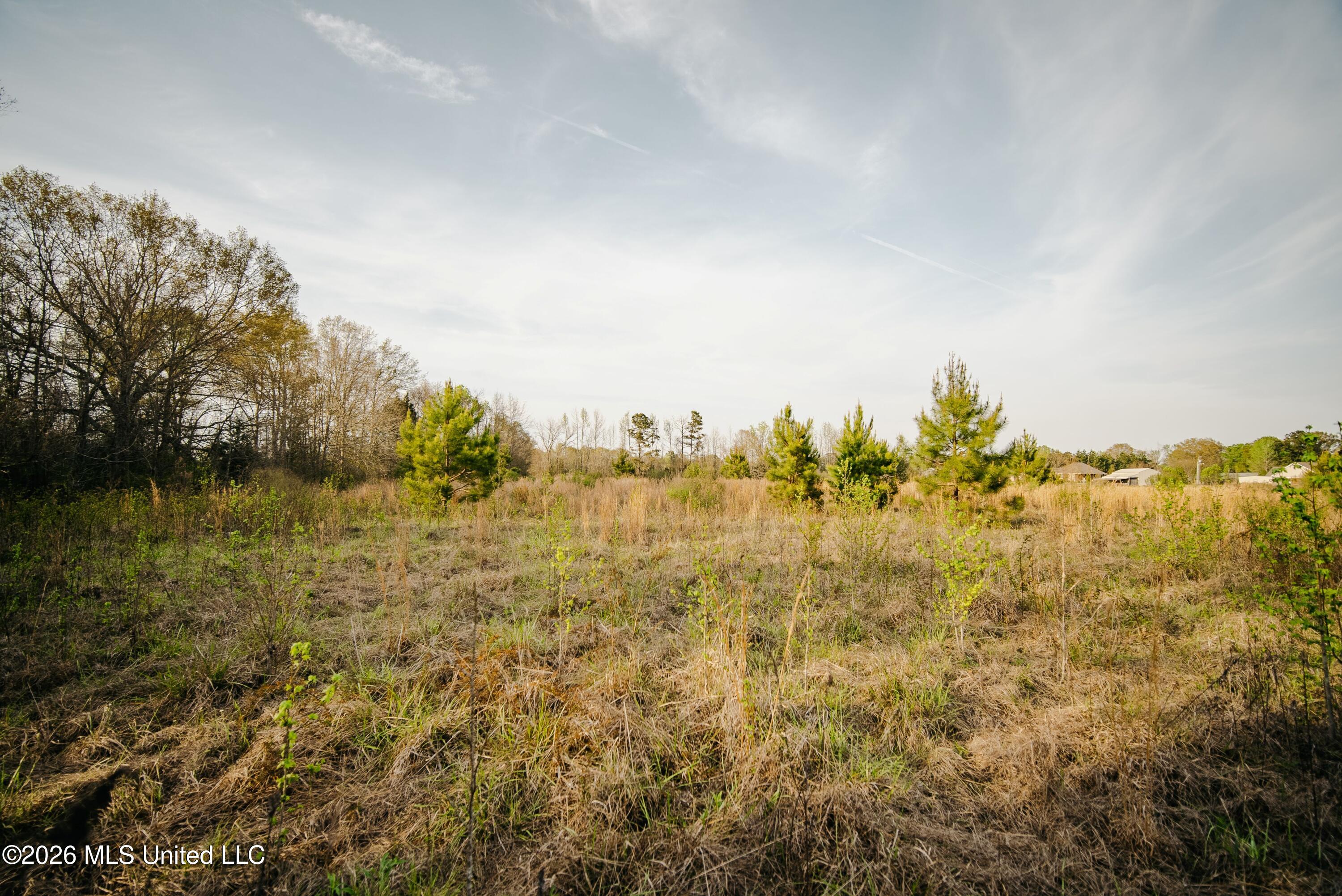 1844 Volley Campbell Road Property Photo 25