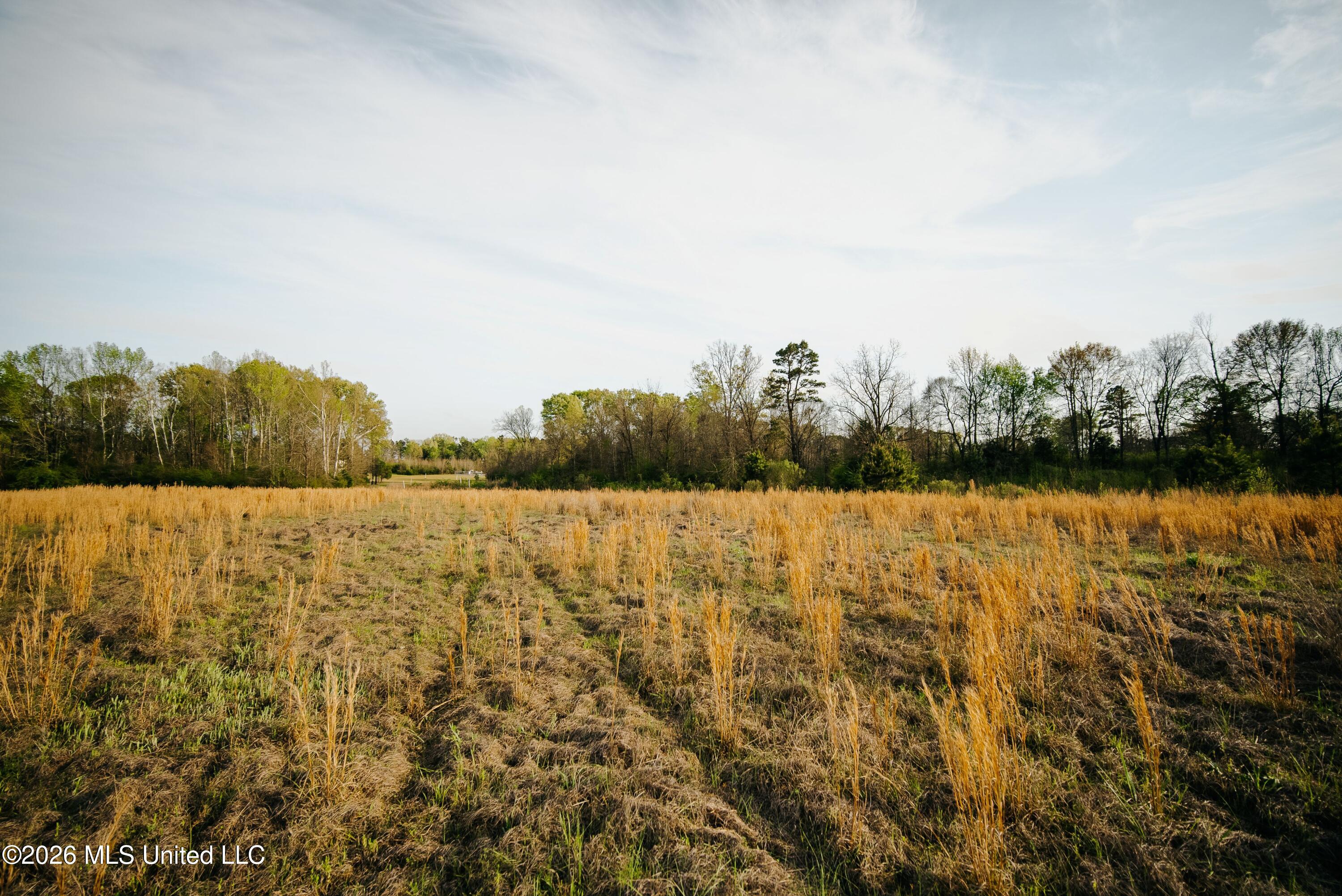 1844 Volley Campbell Road Property Photo 26