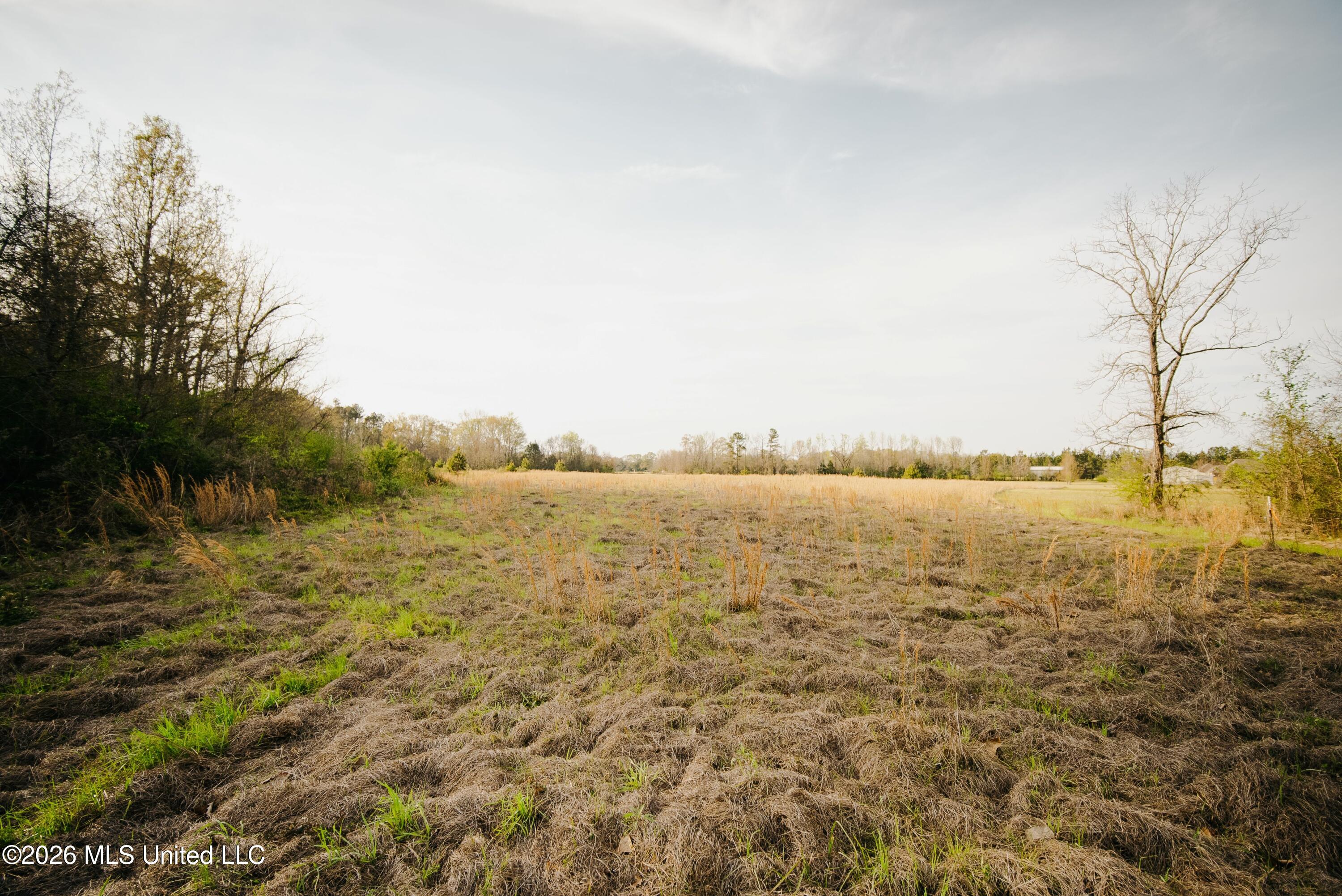 1844 Volley Campbell Road Property Photo 28