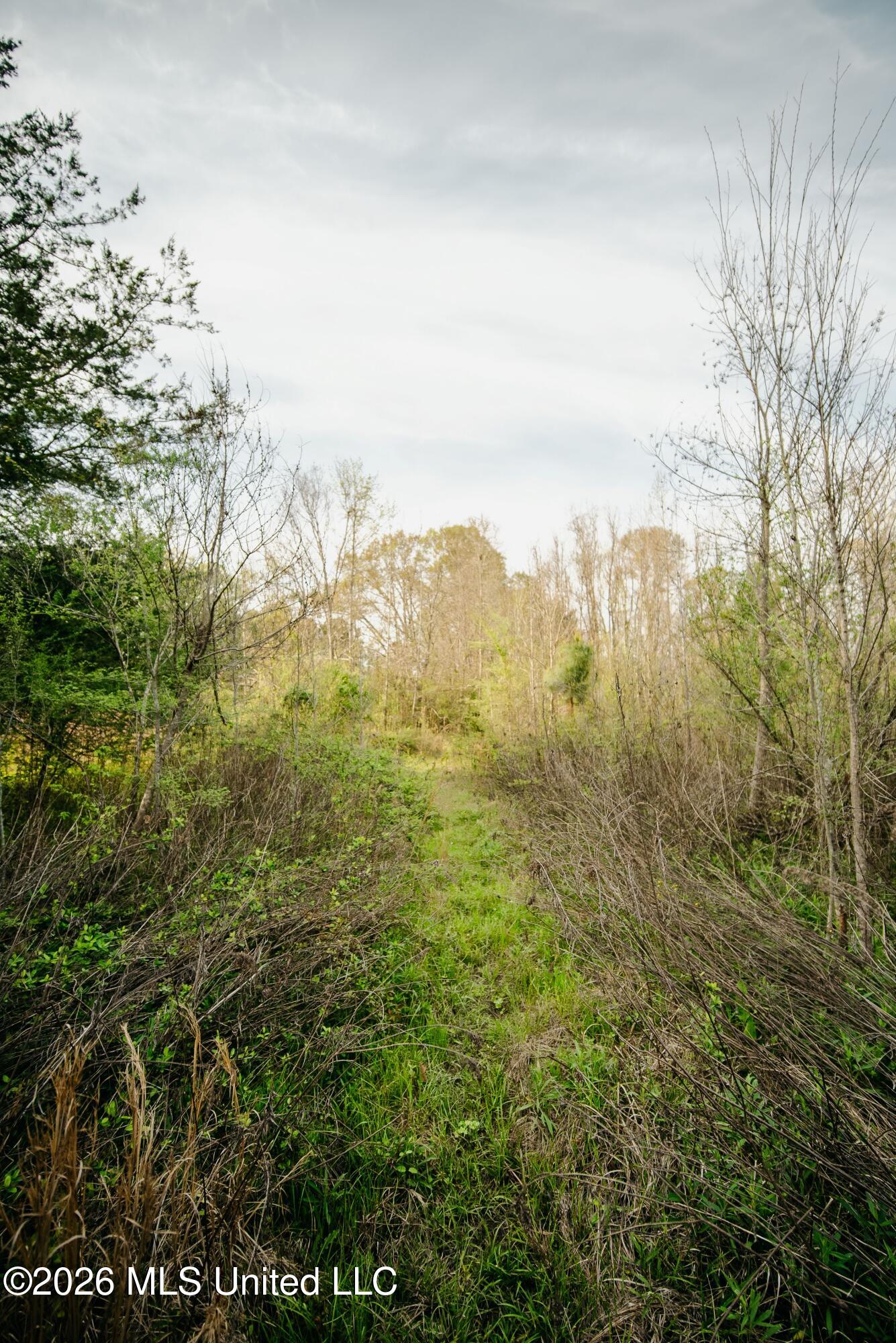 1844 Volley Campbell Road Property Photo 34