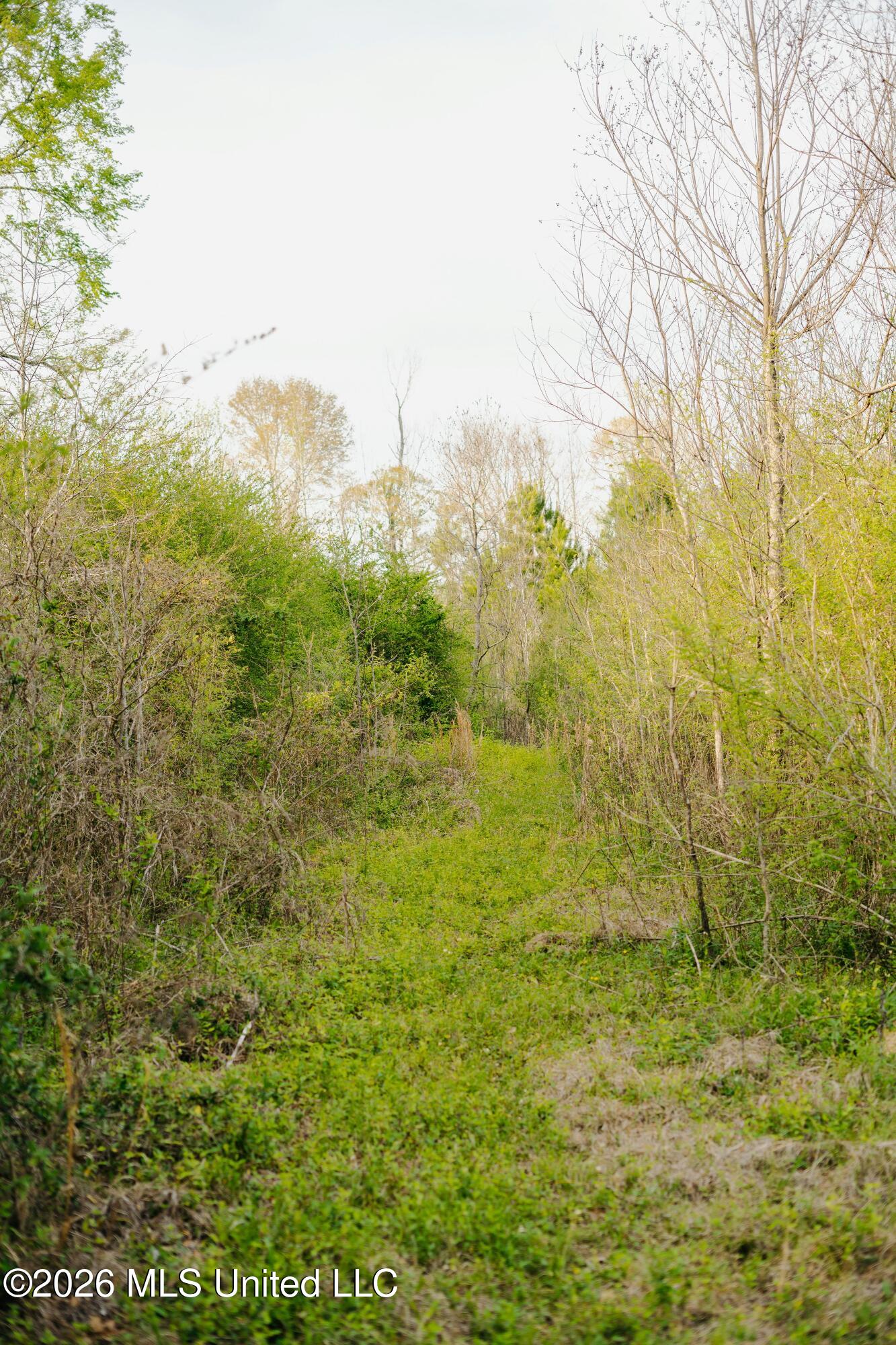 1844 Volley Campbell Road Property Photo 40