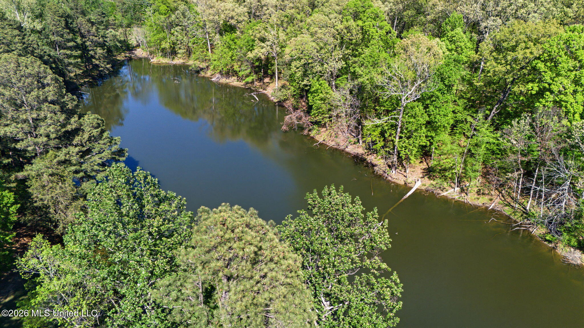 9120 Old Highway 61 Property Photo 3