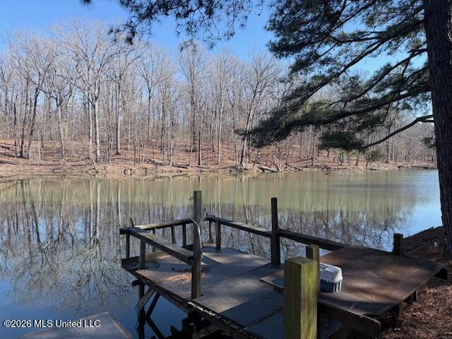 9120 Old Highway 61 Property Photo 4