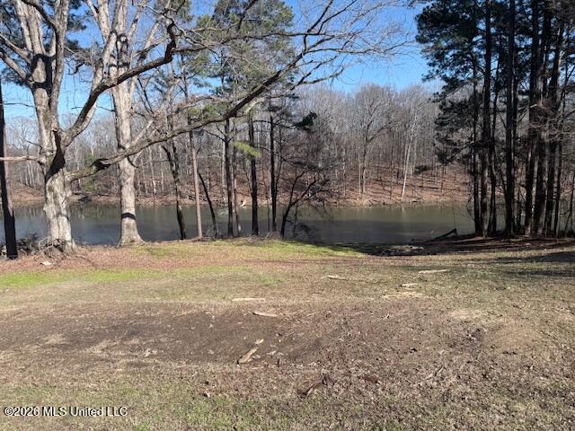 9120 Old Highway 61 Property Photo 5
