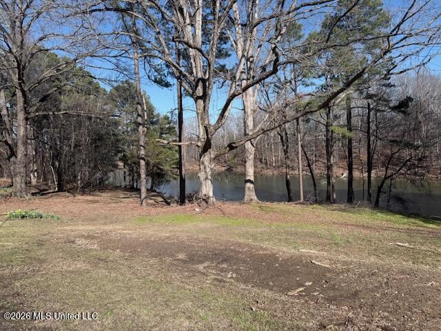 9120 Old Highway 61 Property Photo 7