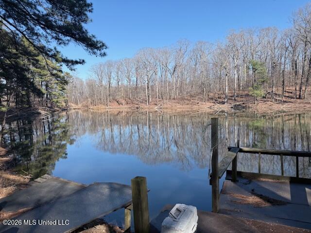 9120 Old Highway 61 Property Photo 8