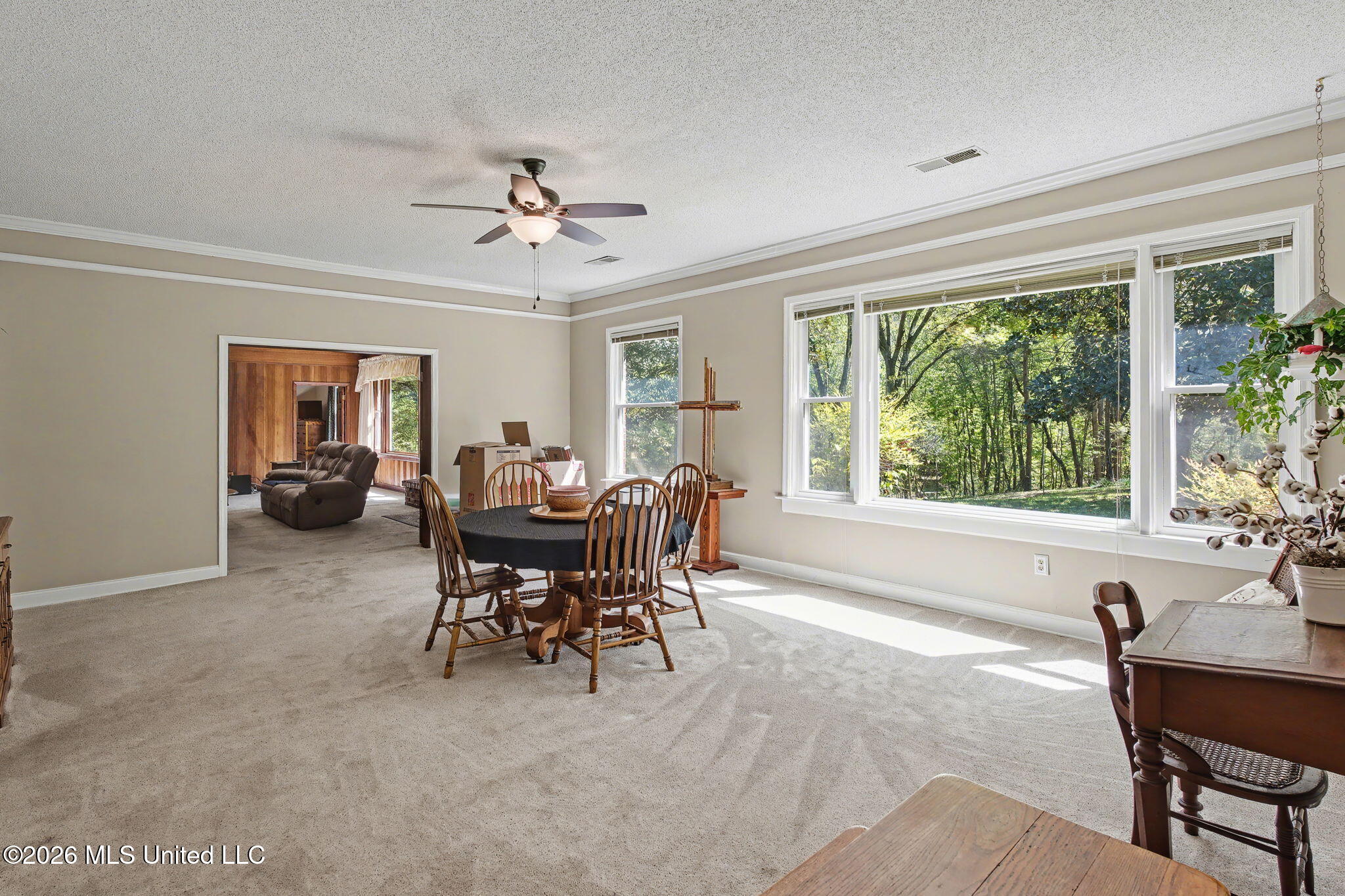 9120 Old Highway 61 Property Photo 20