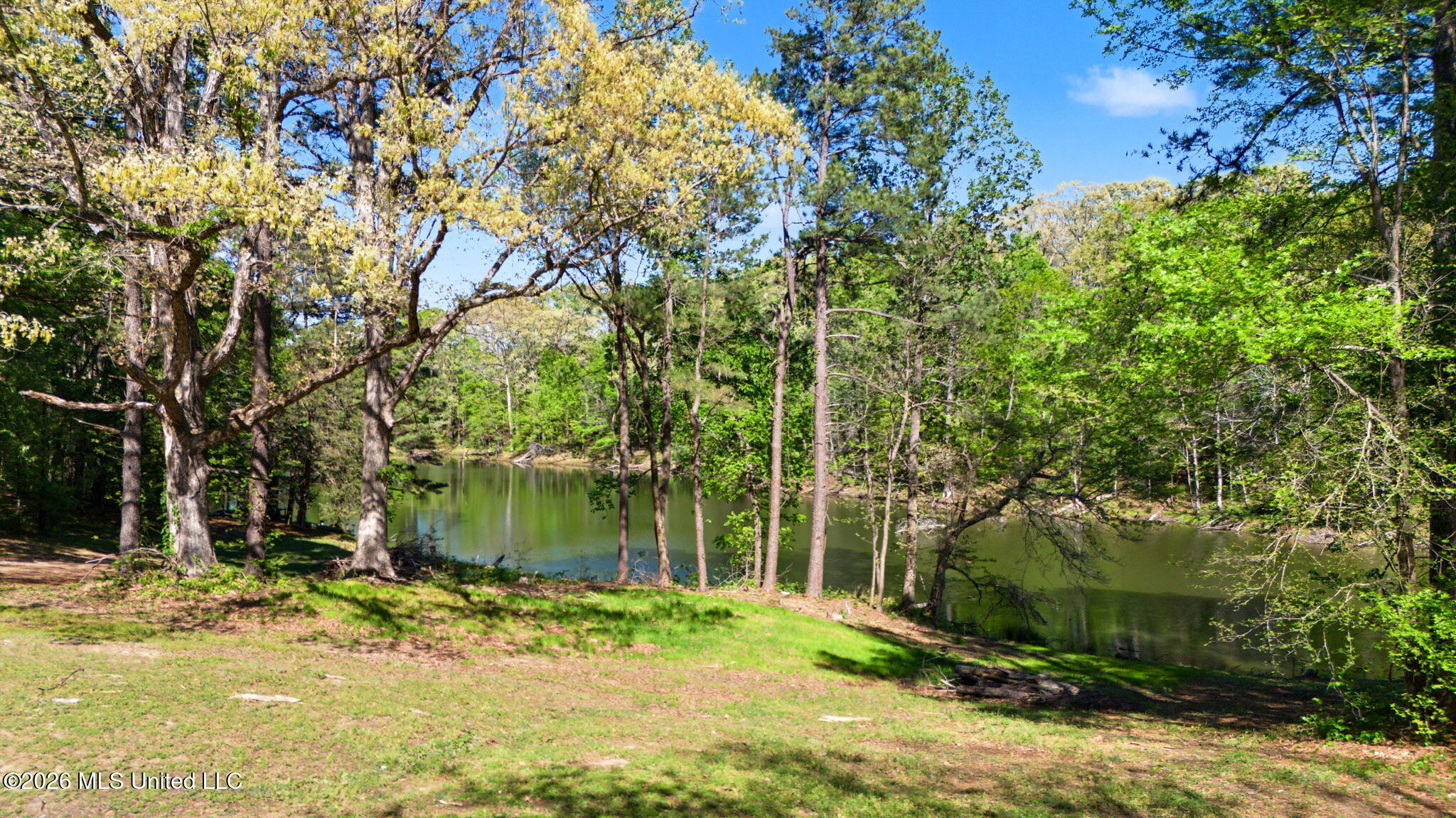 9120 Old Highway 61 Property Photo 53