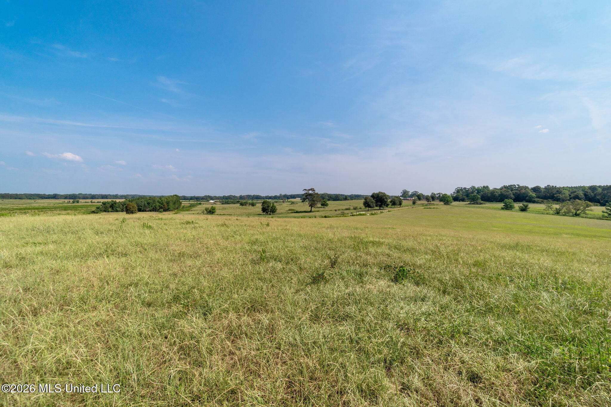 Lot#2 Grady Lewis Road Property Photo 1