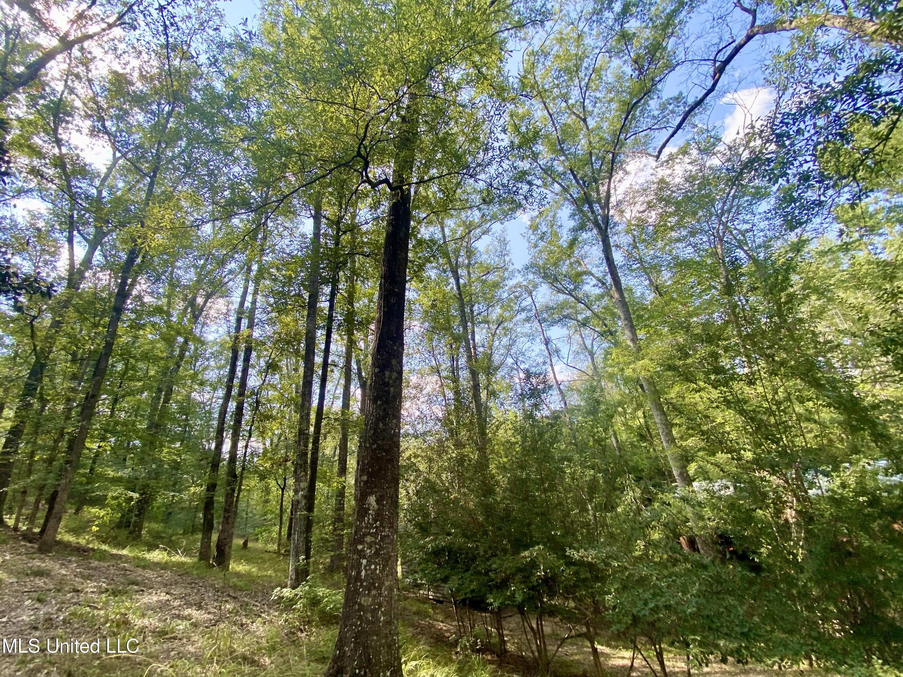 140 Westover Drive Property Photo 37