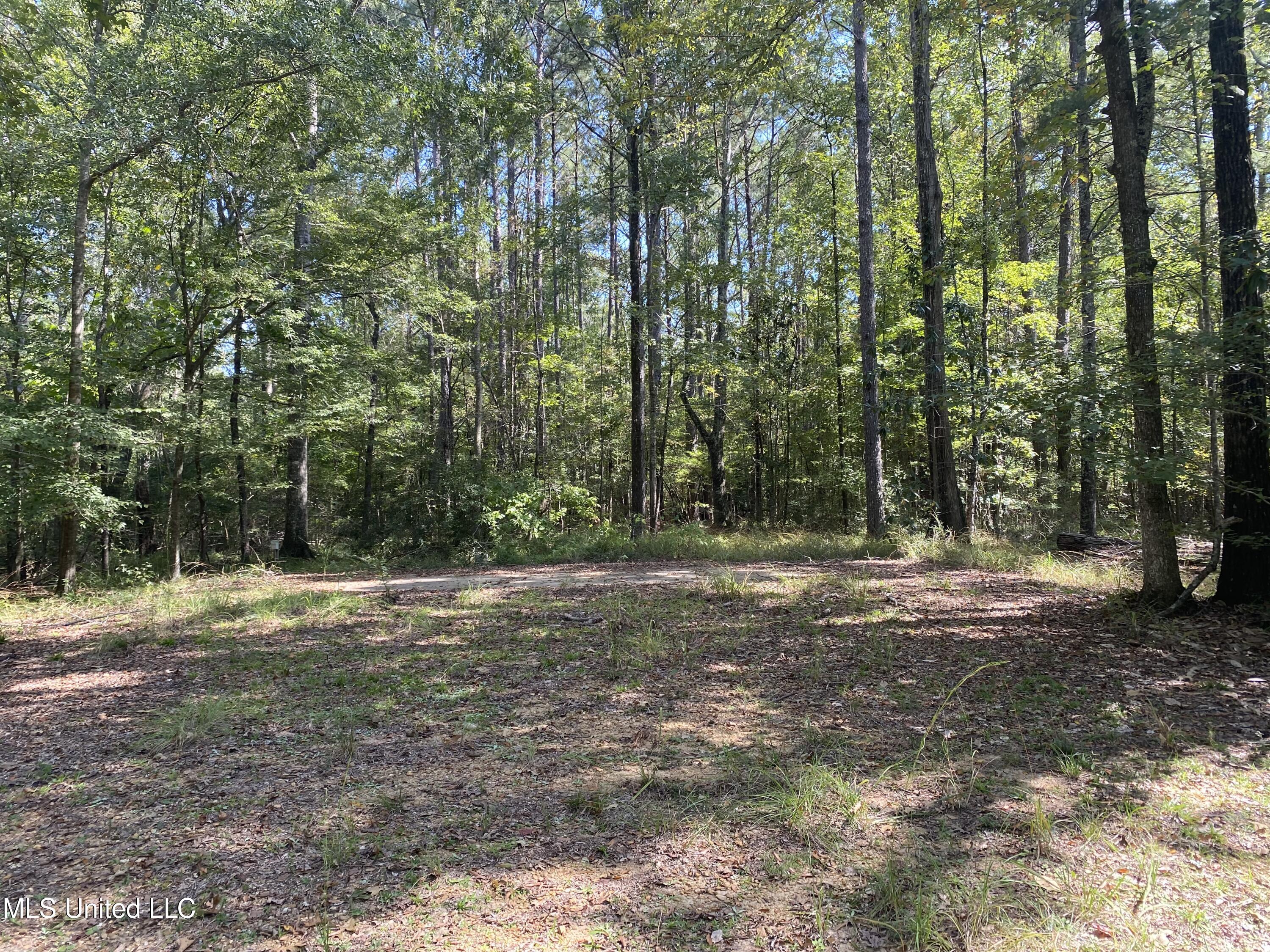 140 Westover Drive Property Photo 39