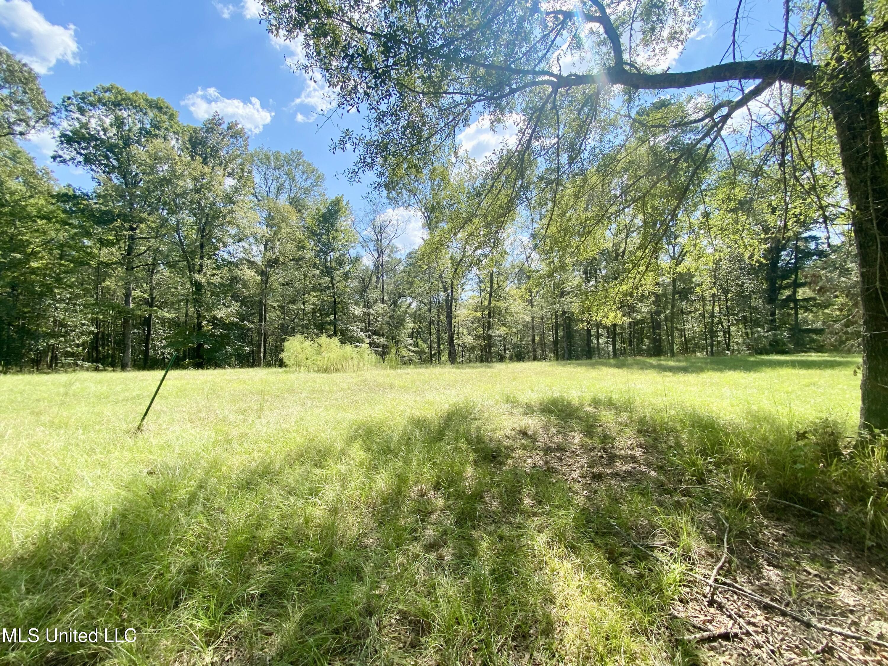 140 Westover Drive Property Photo 14