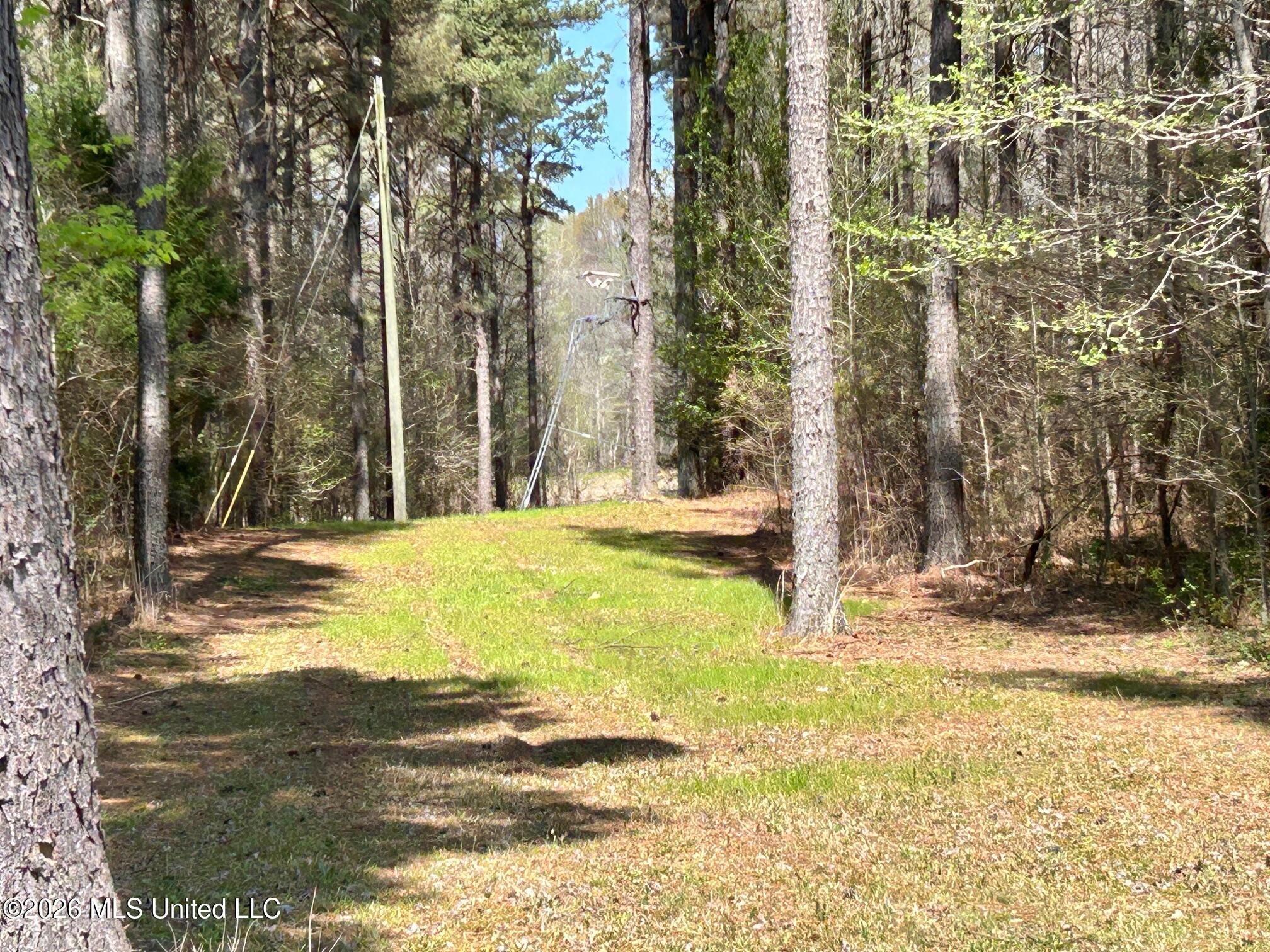 2250 Bend Road Property Photo 2