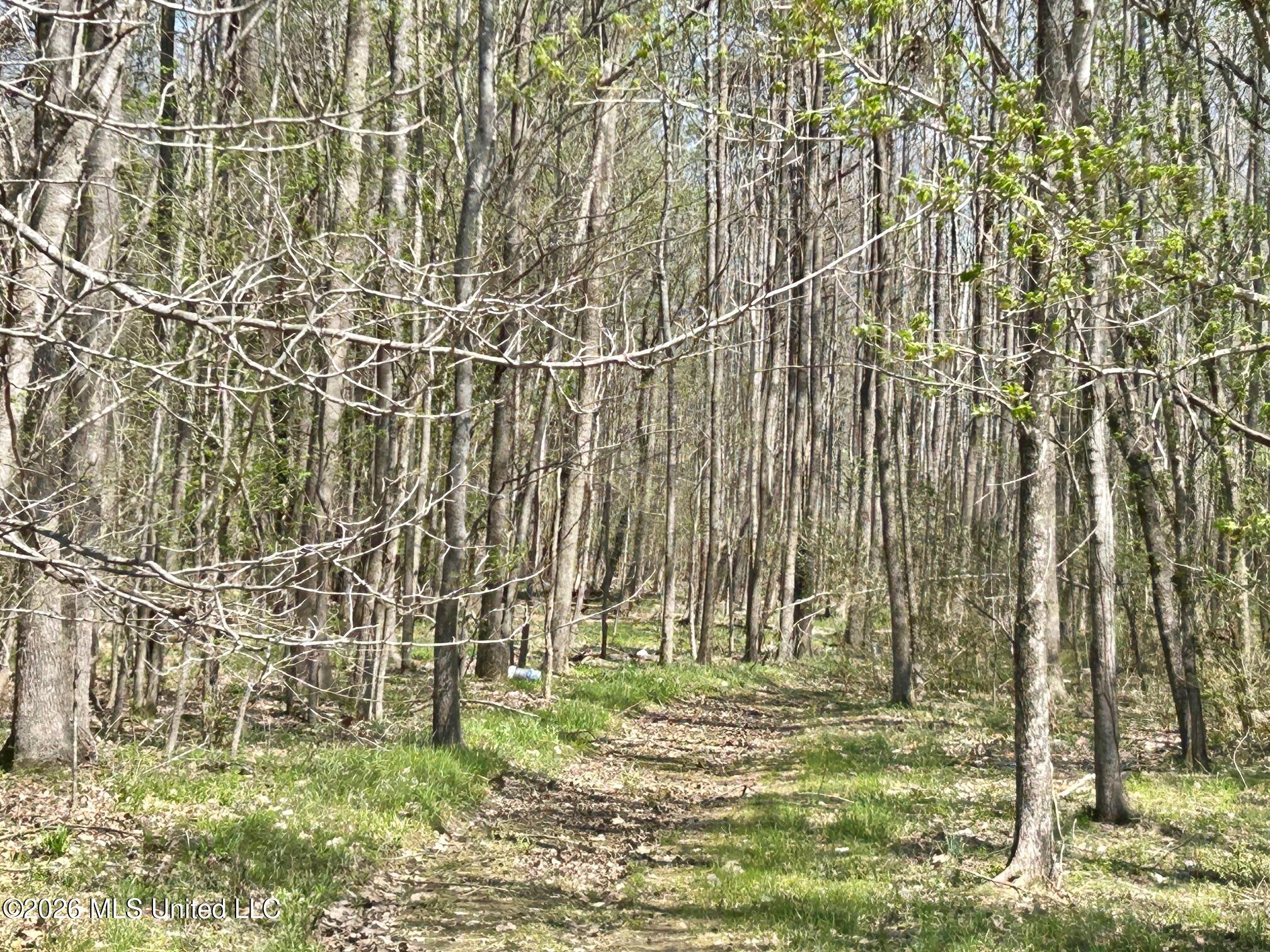 2250 Bend Road Property Photo 4
