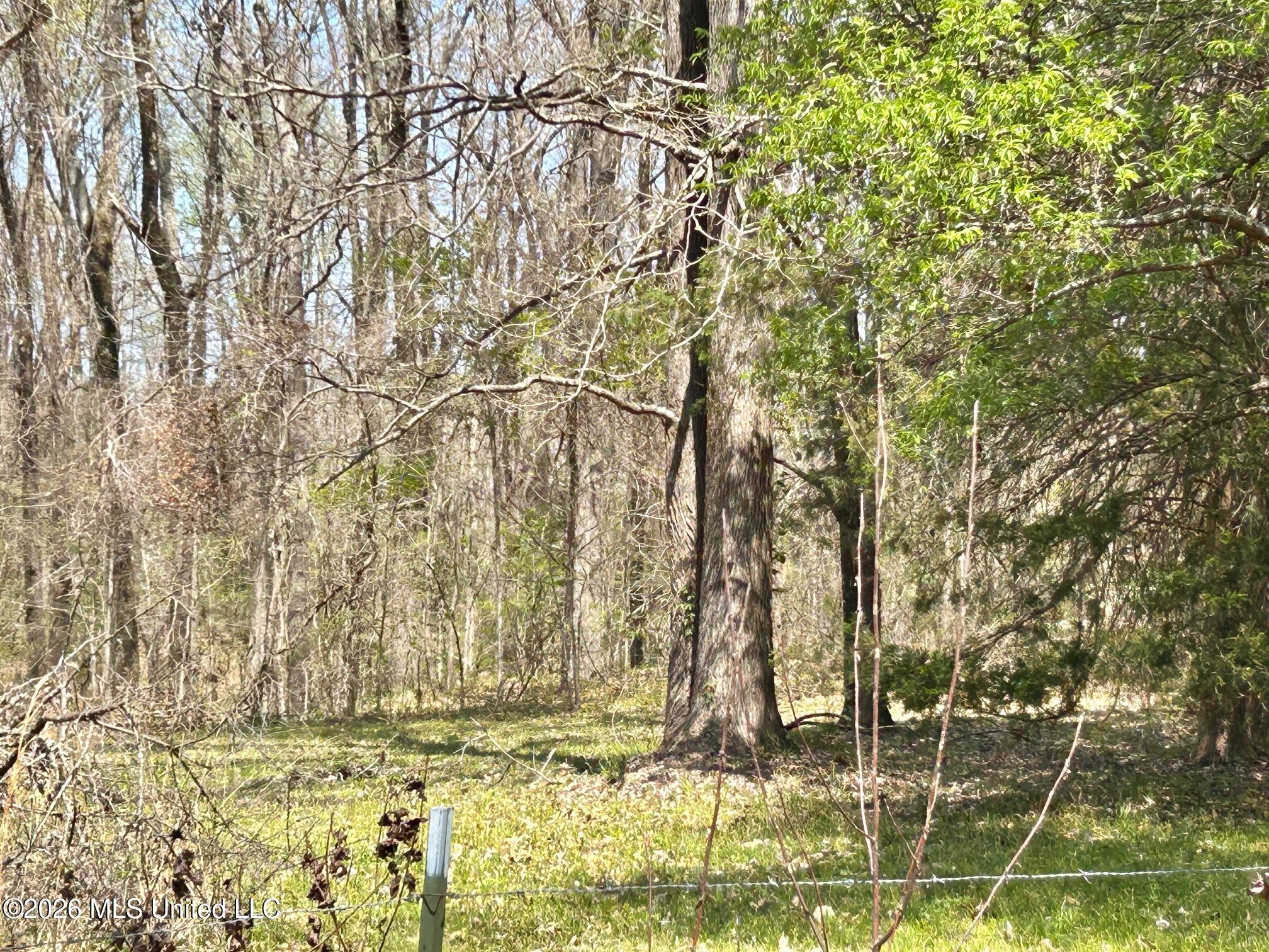2250 Bend Road Property Photo 5