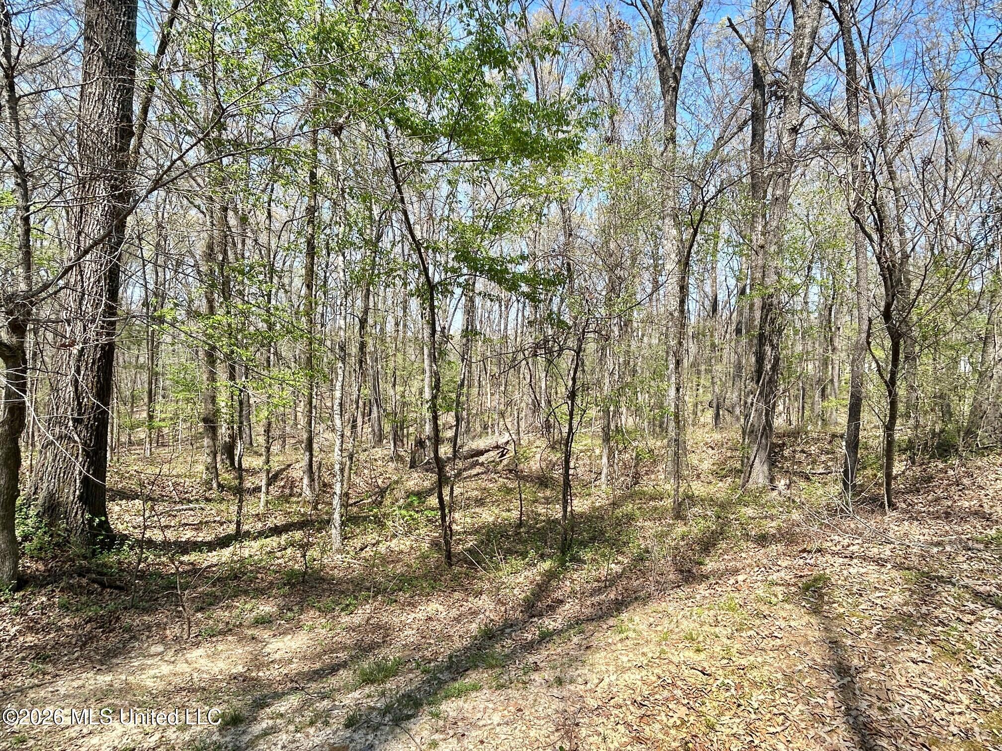 2250 Bend Road Property Photo 7