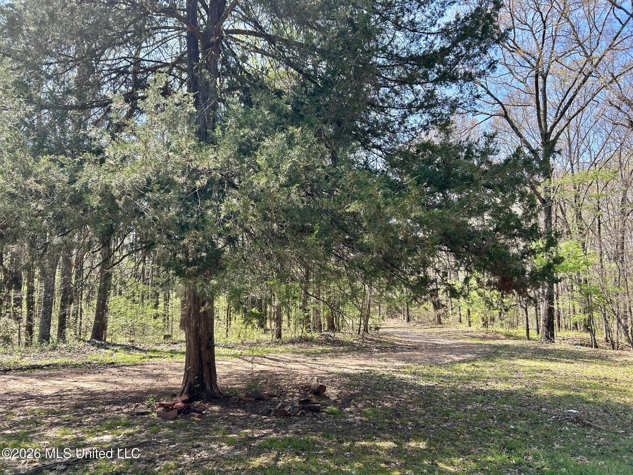 2250 Bend Road Property Photo 10