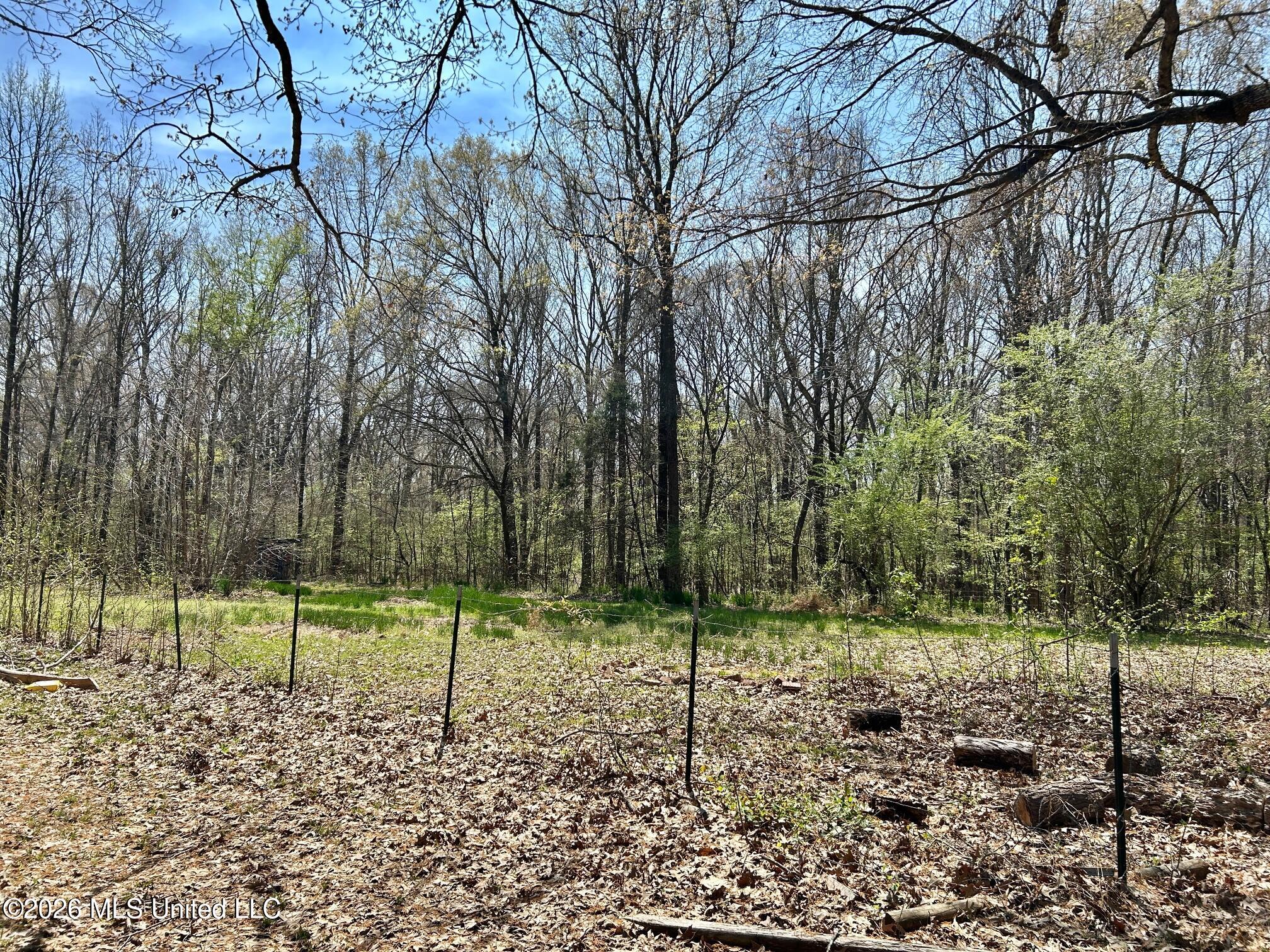 2250 Bend Road Property Photo 11
