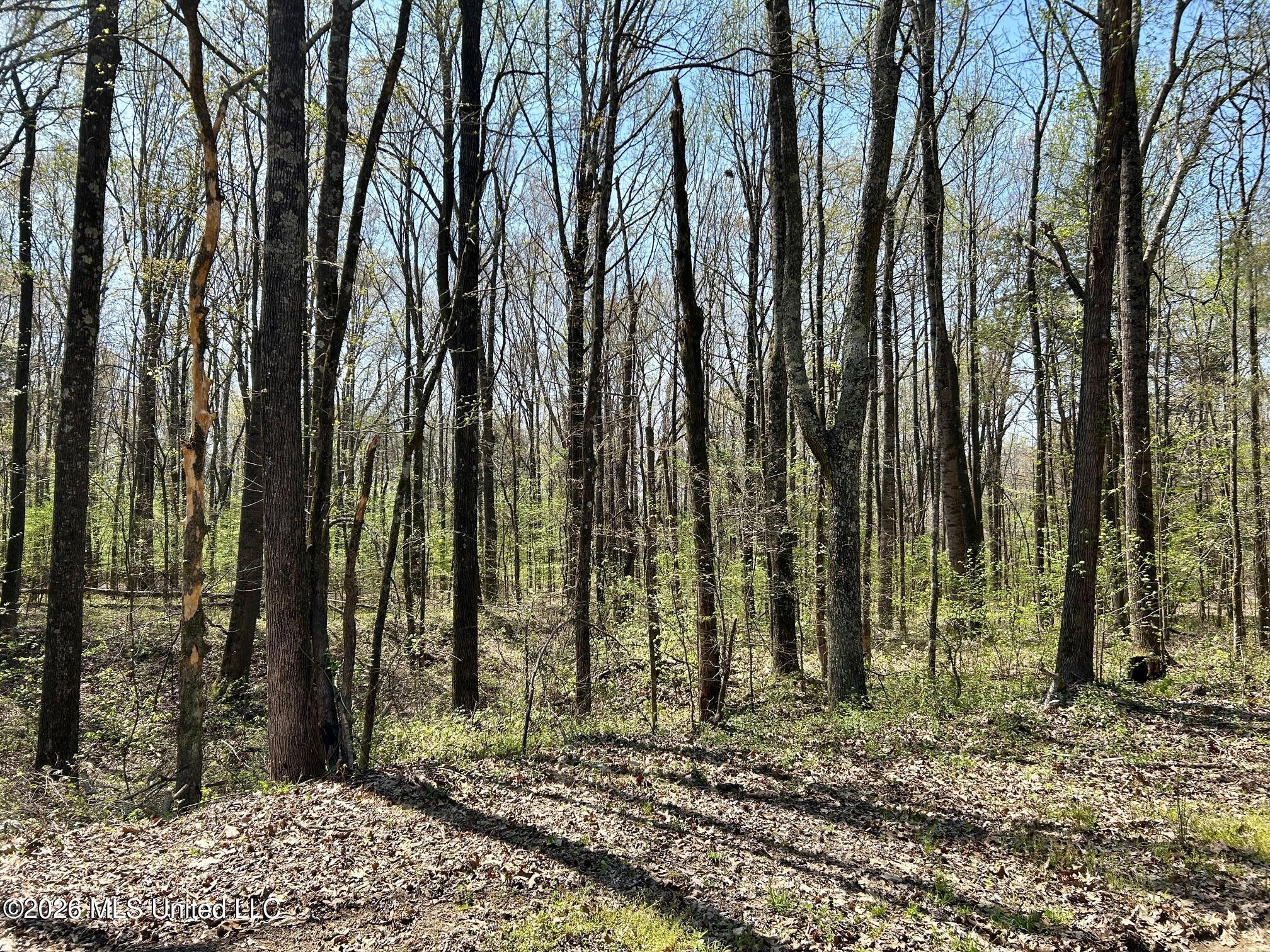 2250 Bend Road Property Photo 12