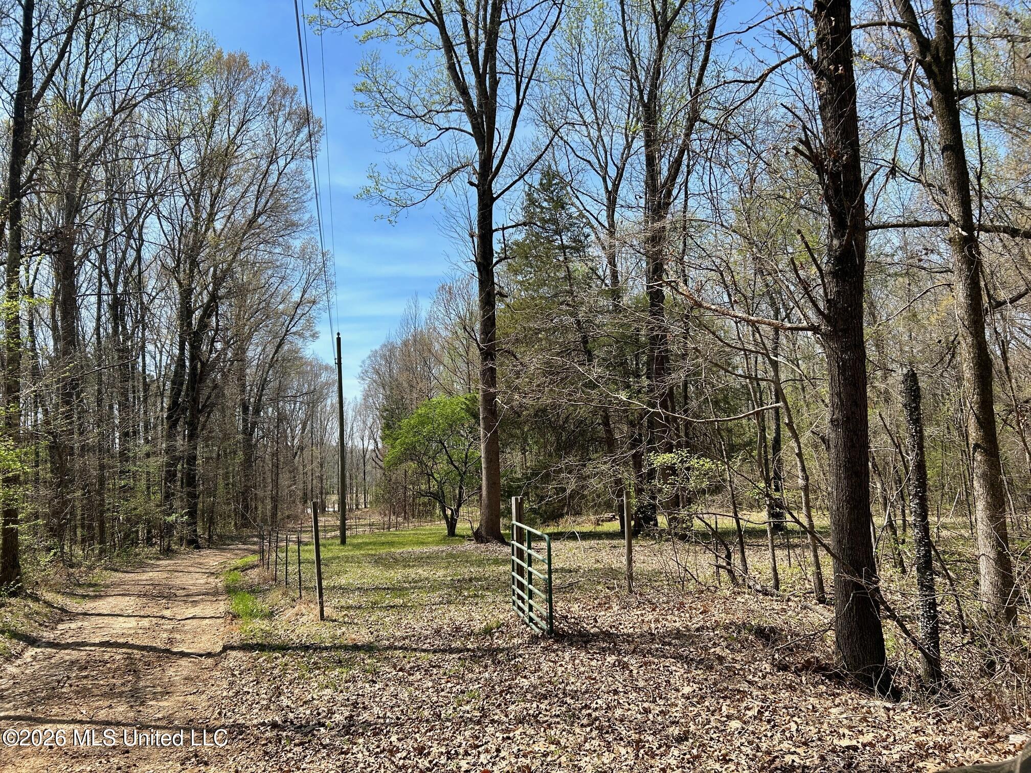 2250 Bend Road Property Photo 13