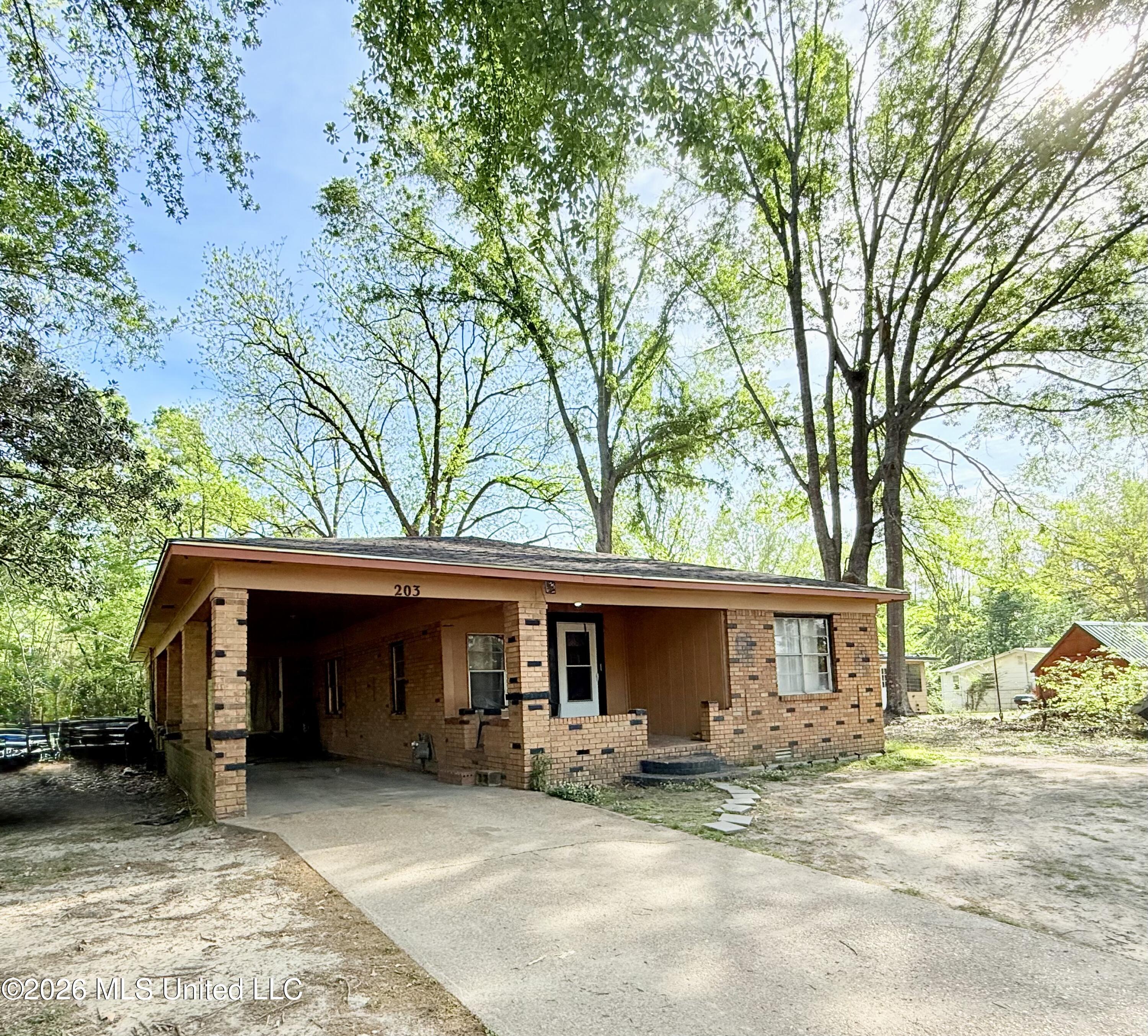 203 Branch Street Property Photo 2