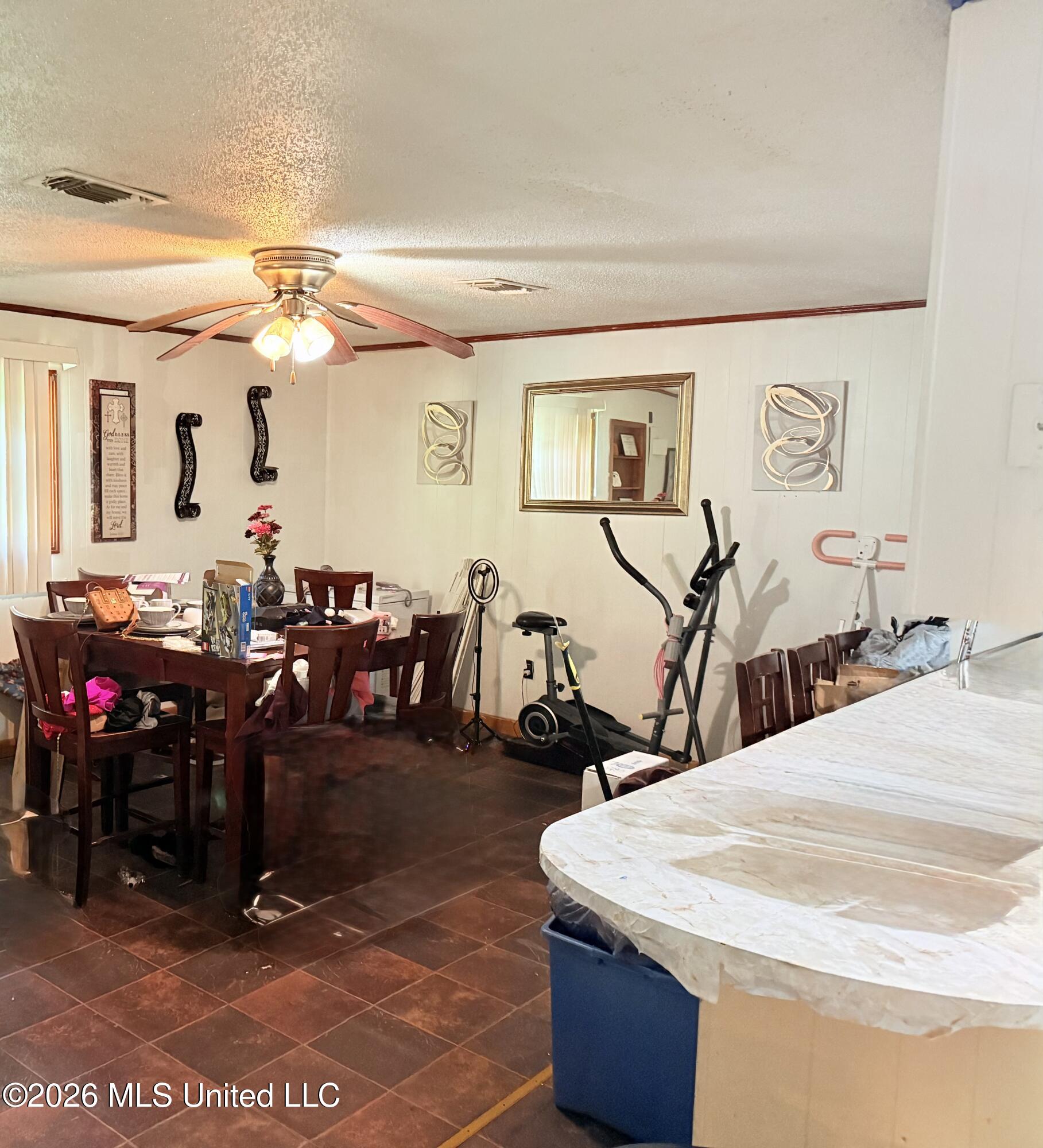203 Branch Street Property Photo 5