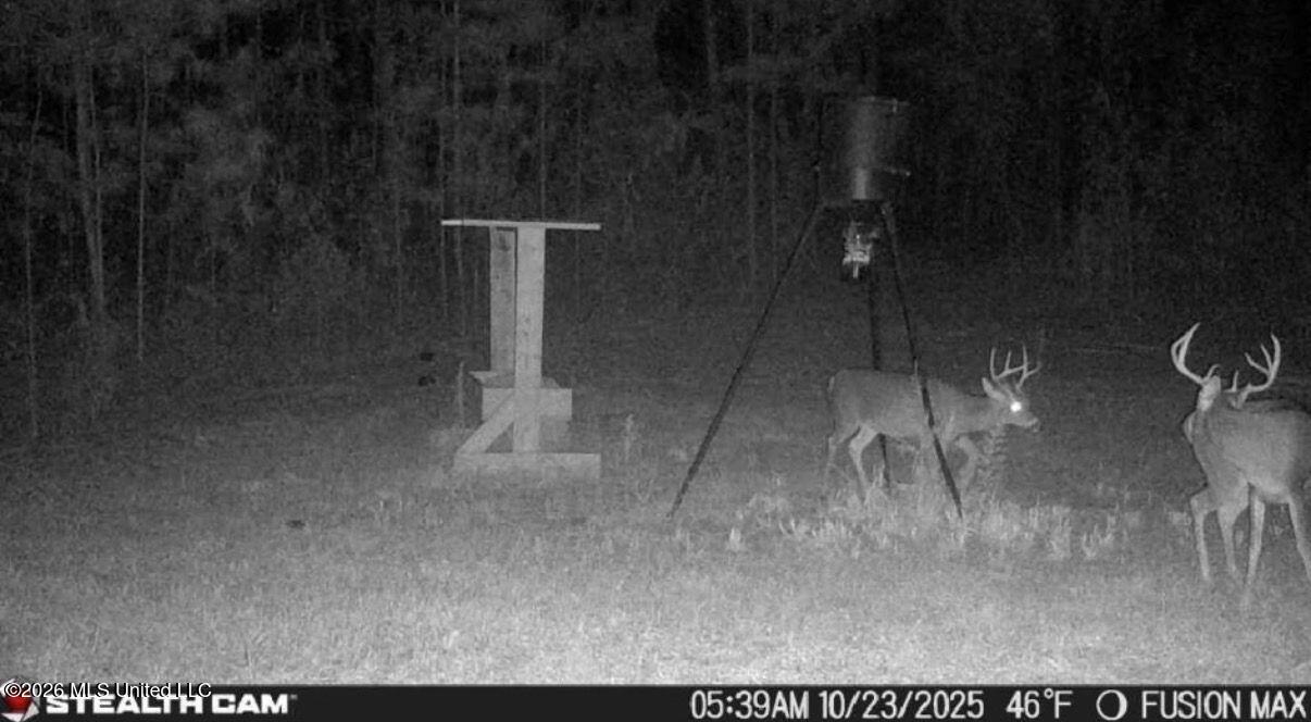285 Mount Horeb Road Property Photo 3