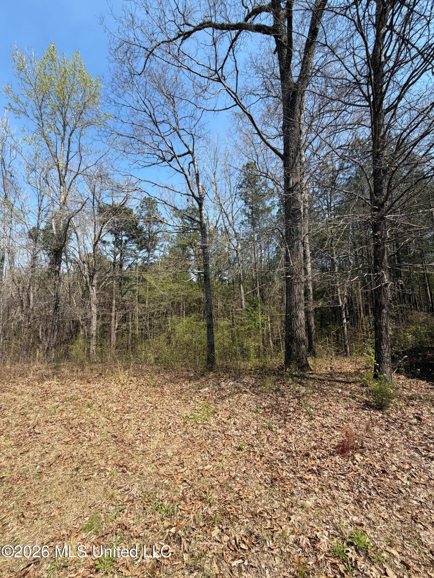 285 Mount Horeb Road Property Photo 8