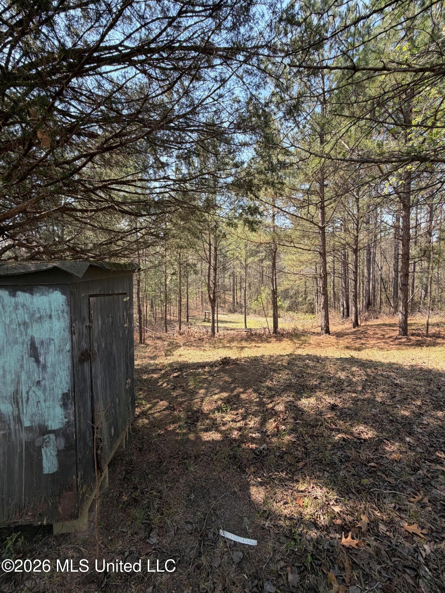 285 Mount Horeb Road Property Photo 15