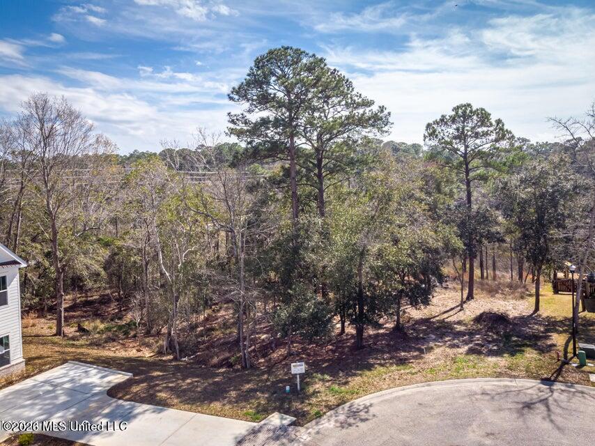 210 Bluff Cove Property Photo 6