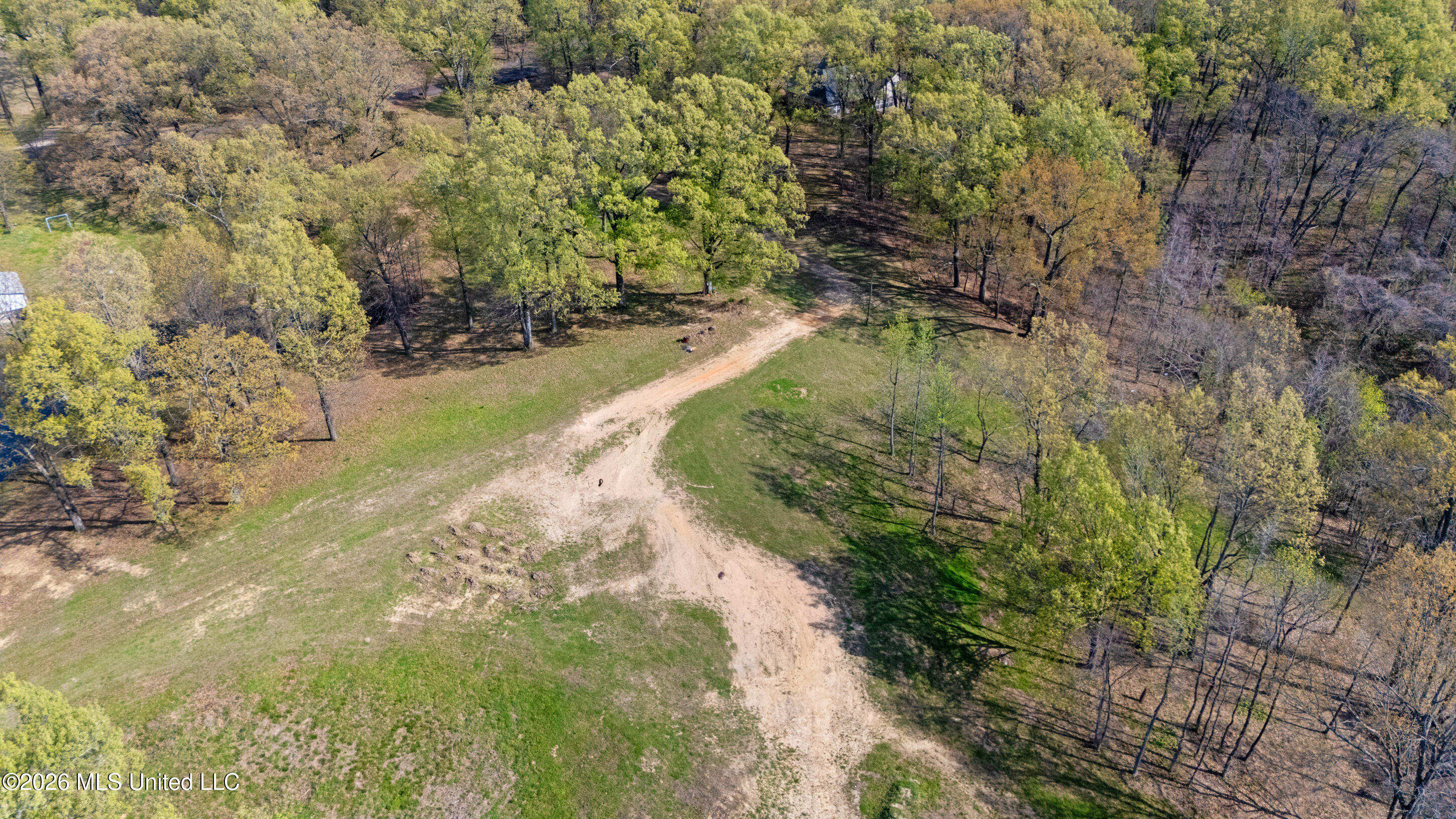 4234 Delta View Road Property Photo 17