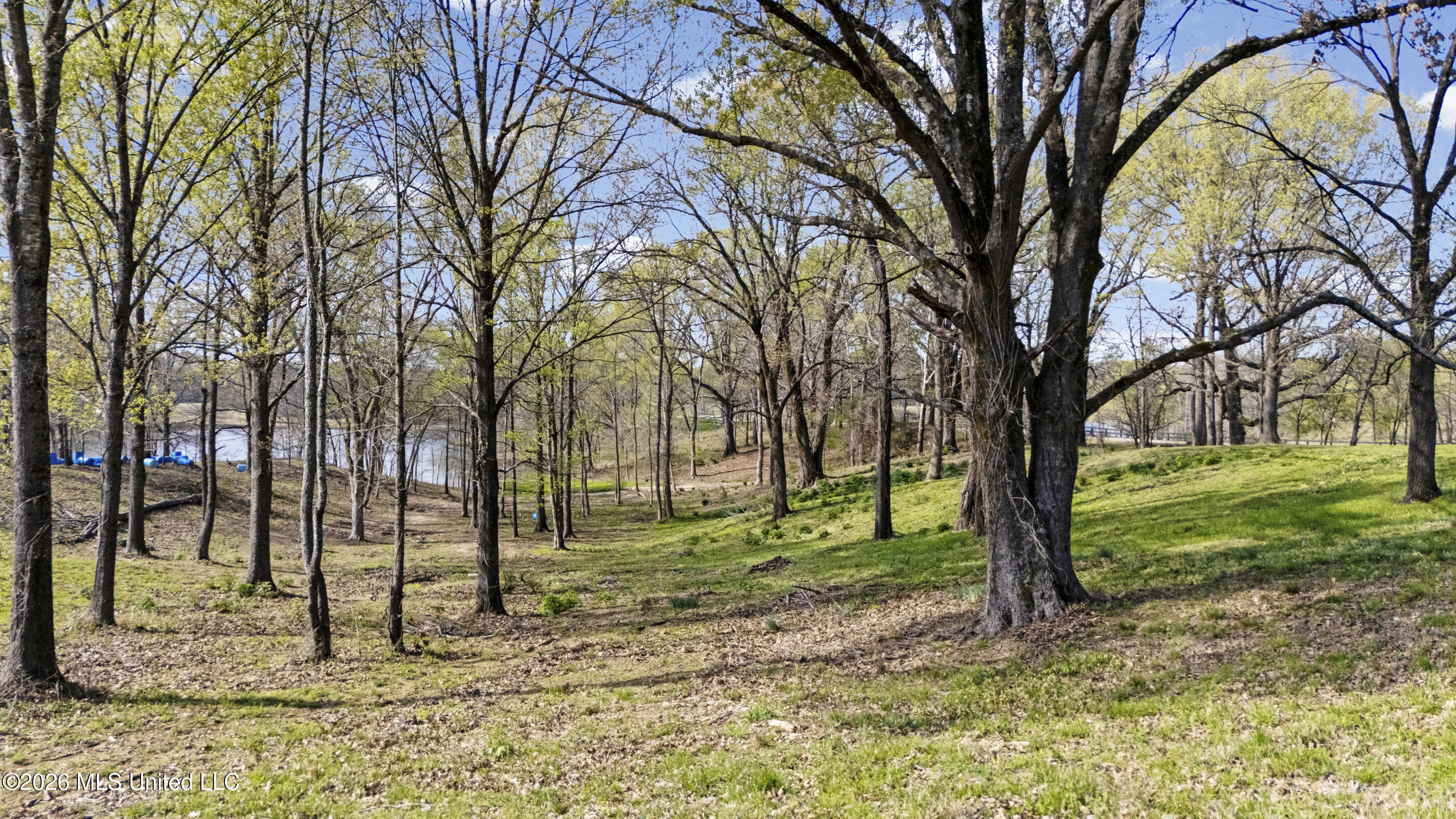 4234 Delta View Road Property Photo 18