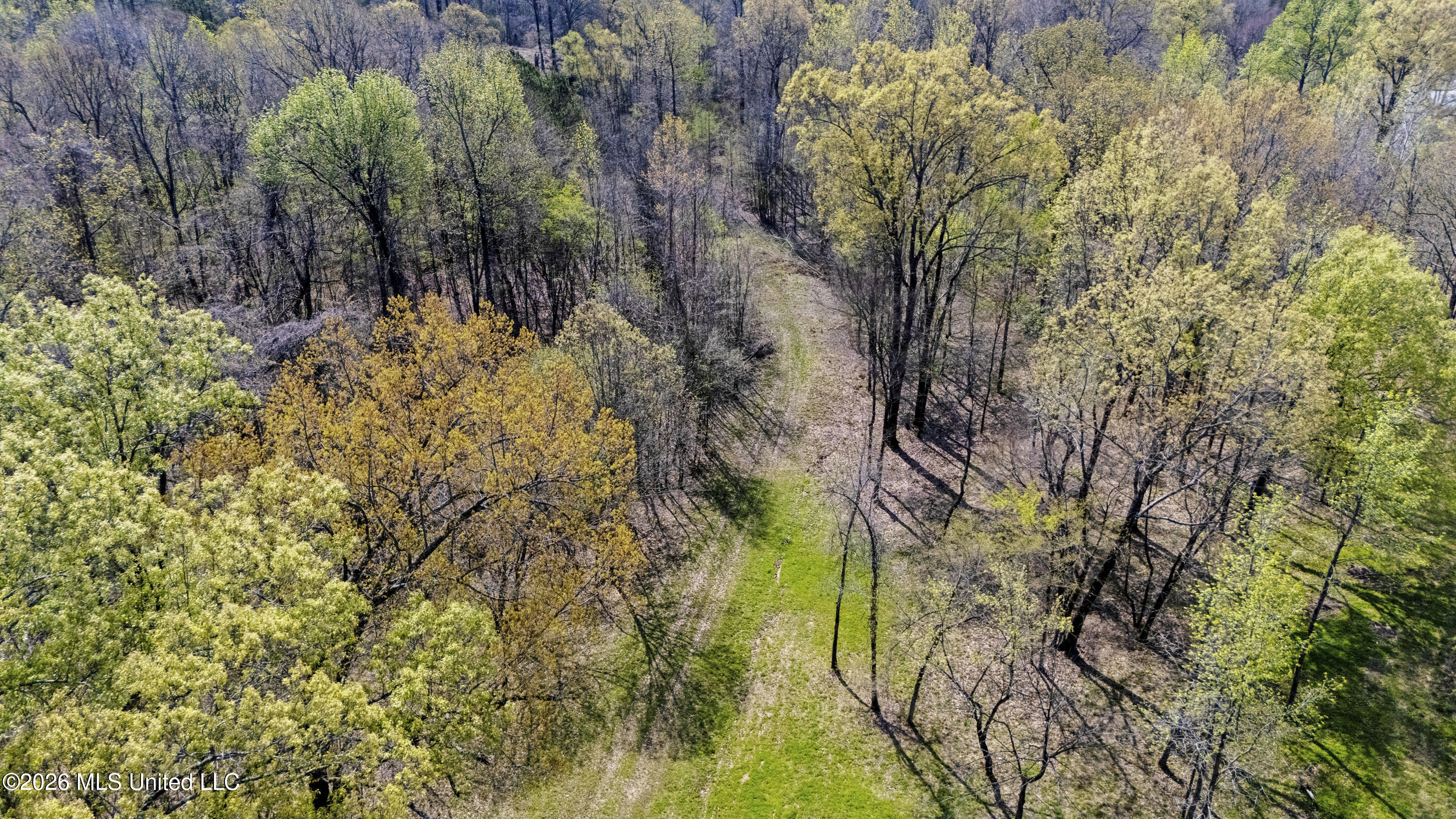 4234 Delta View Road Property Photo 36