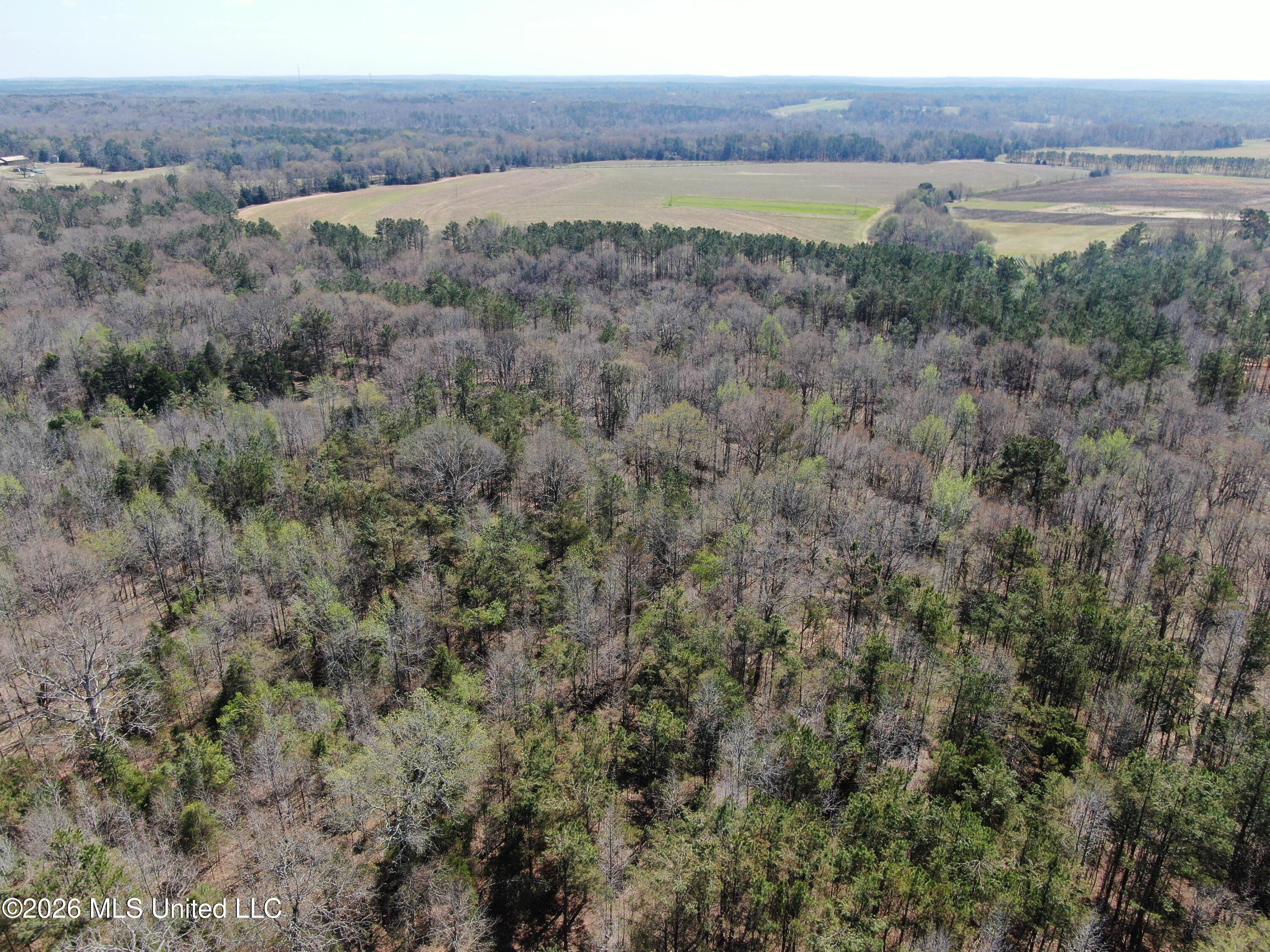 1200 Pottery Road Property Photo 6