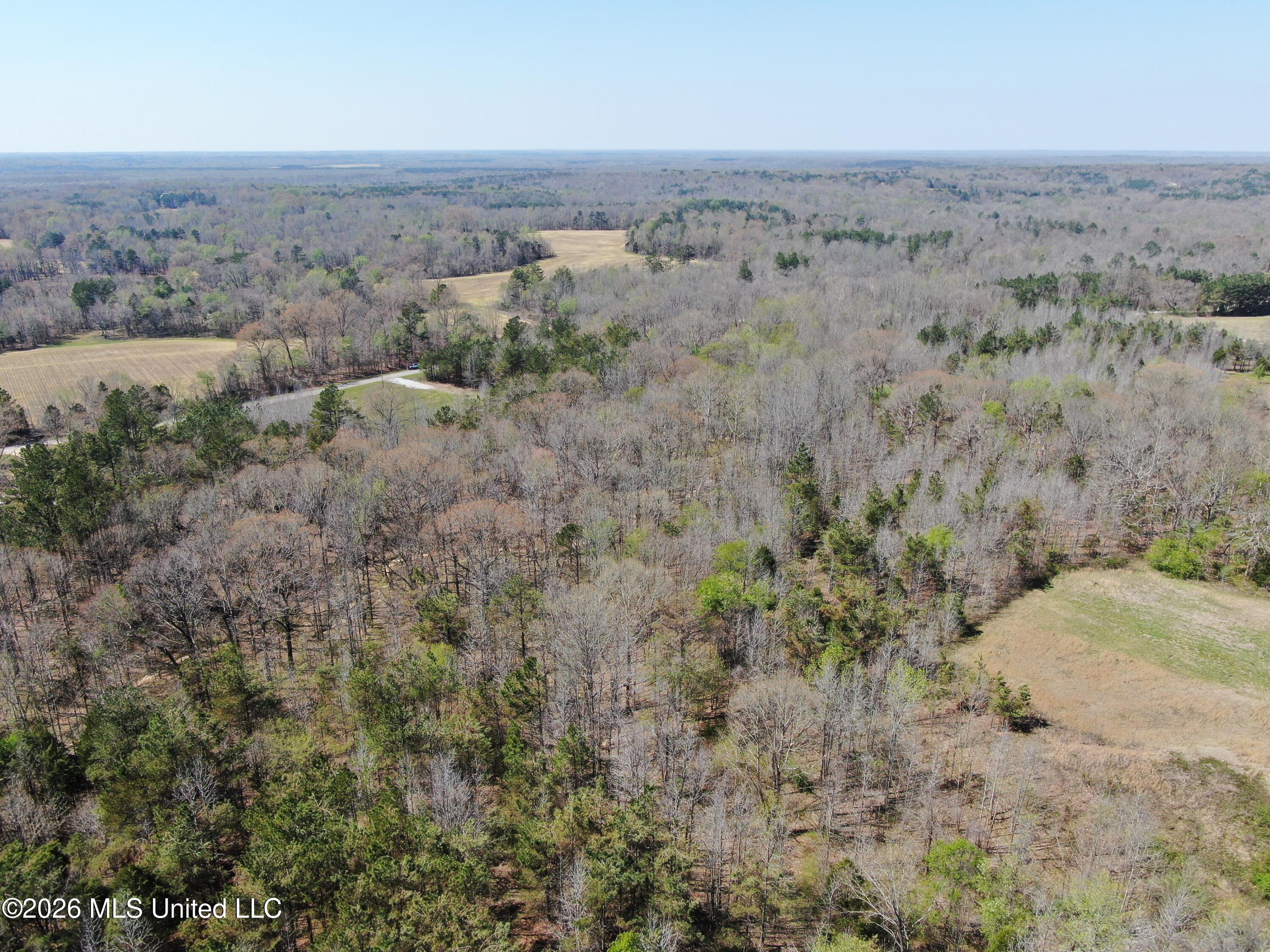 1200 Pottery Road Property Photo 7