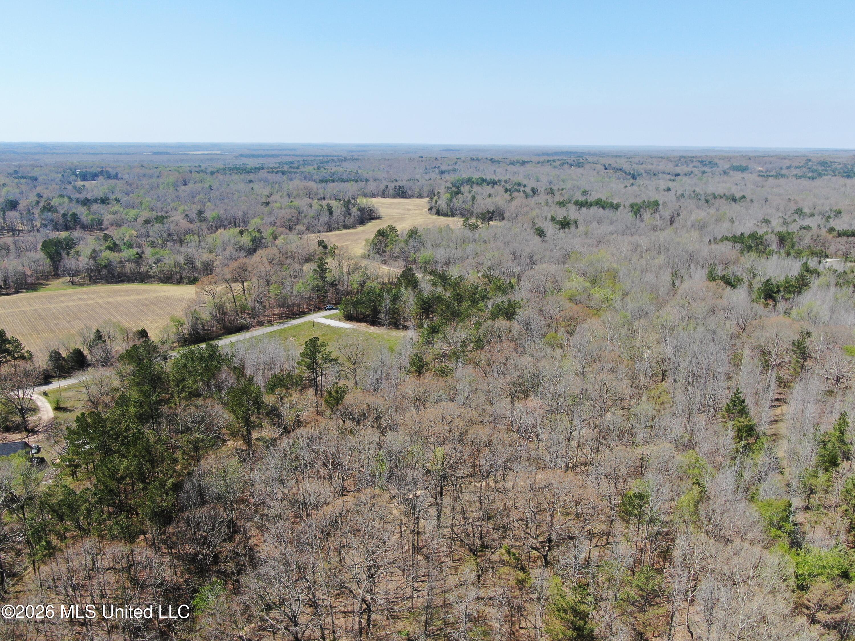 1200 Pottery Road Property Photo 8