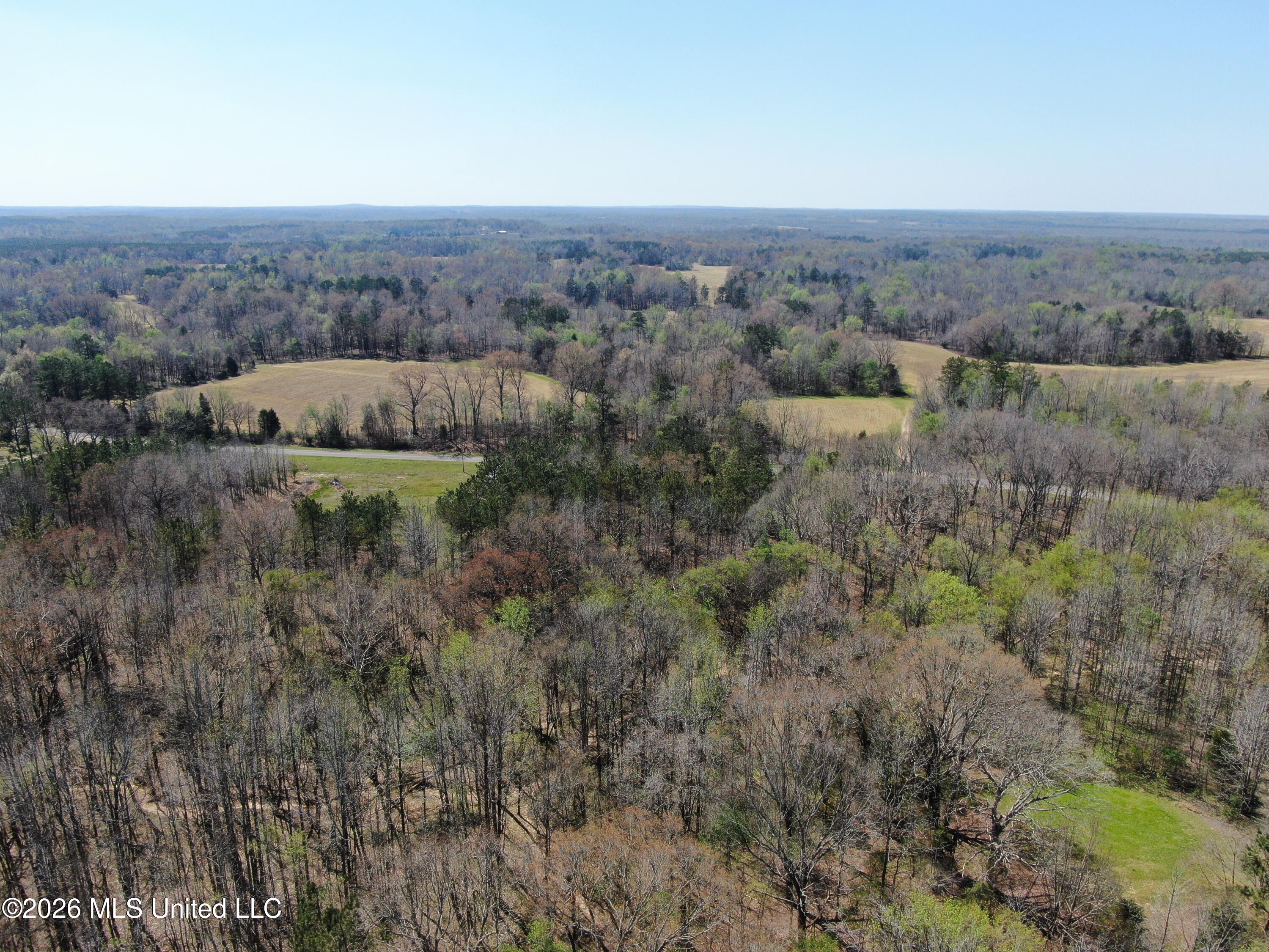 1200 Pottery Road Property Photo 9