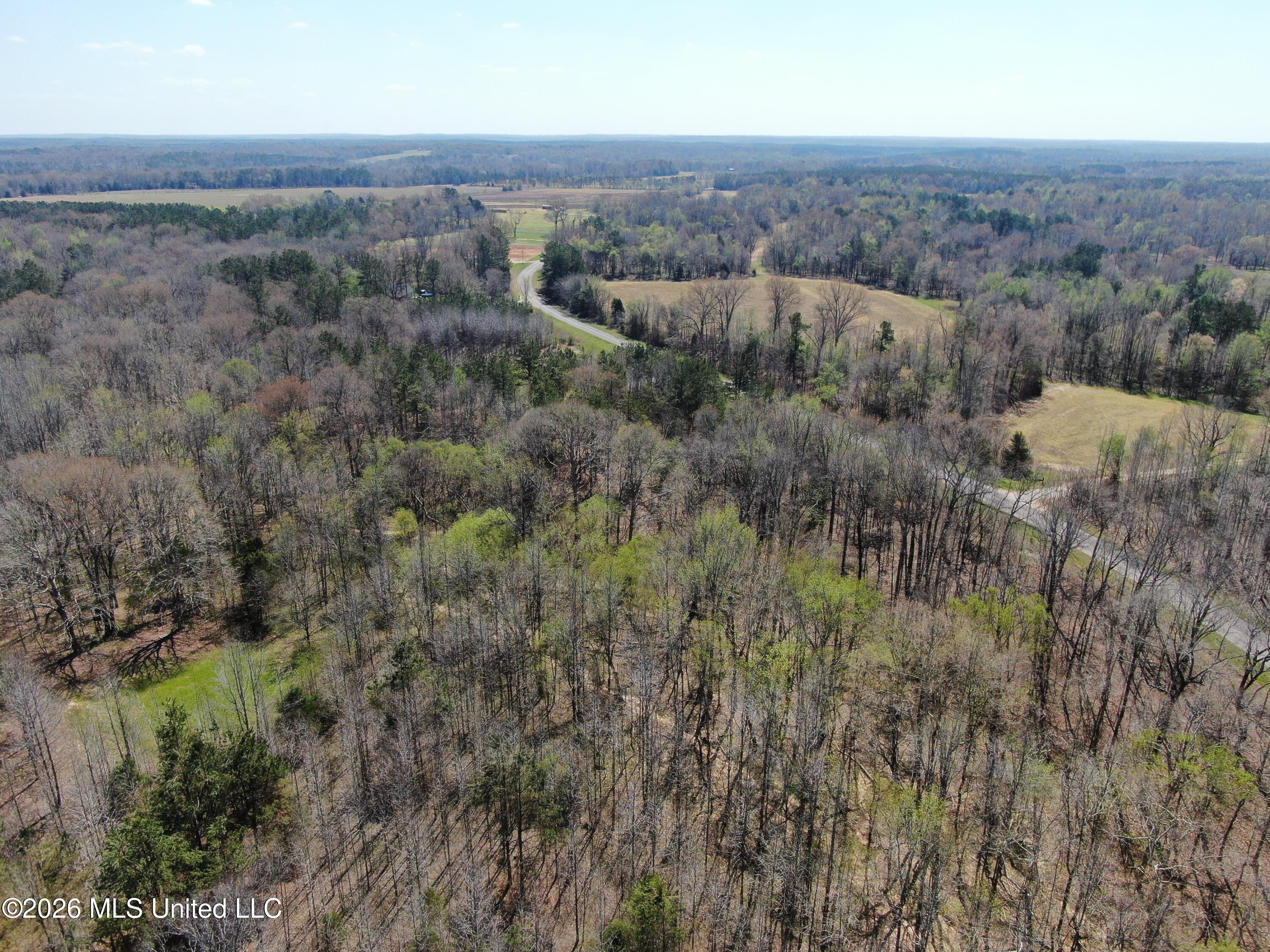 1200 Pottery Road Property Photo 10