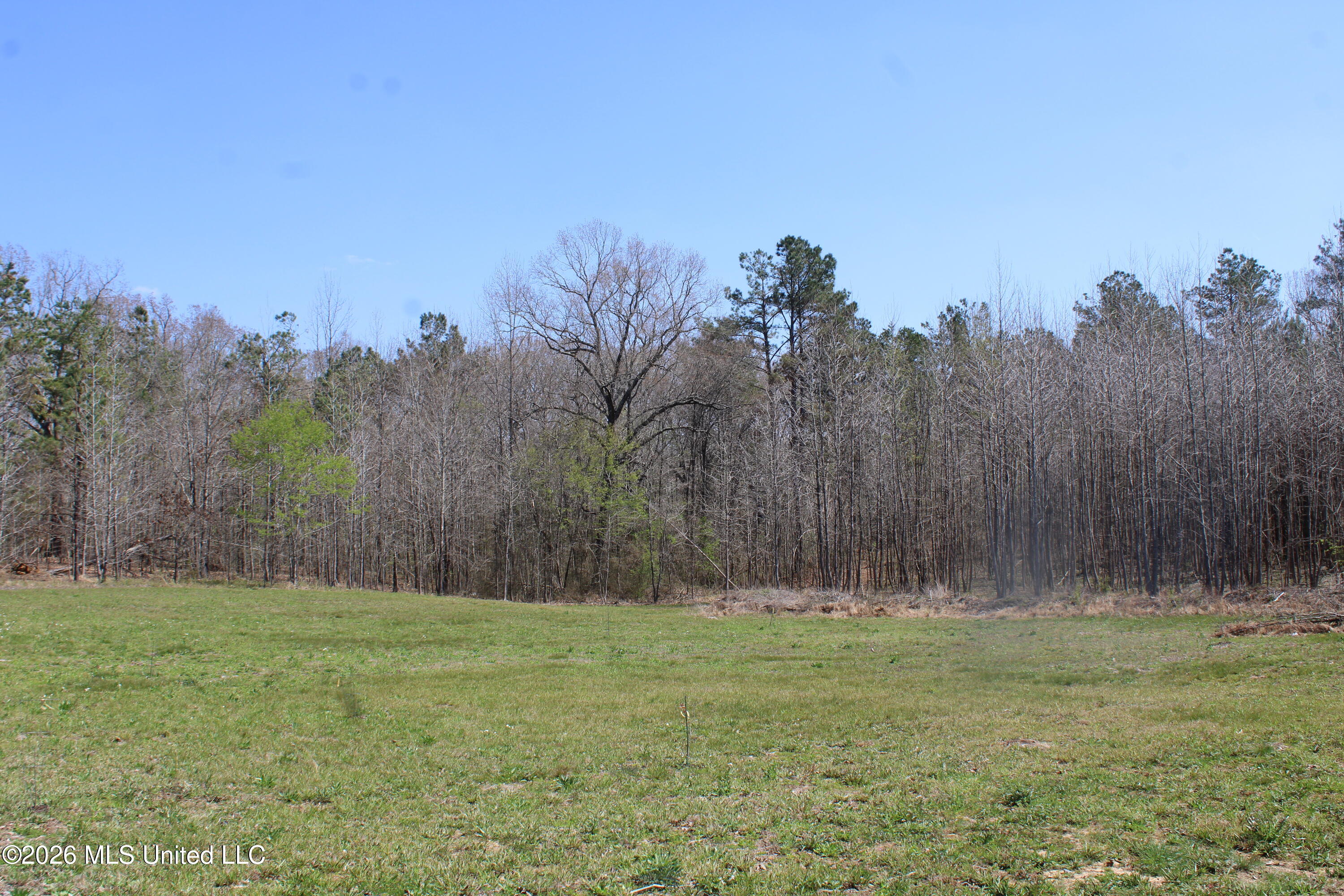 1200 Pottery Road Property Photo 19