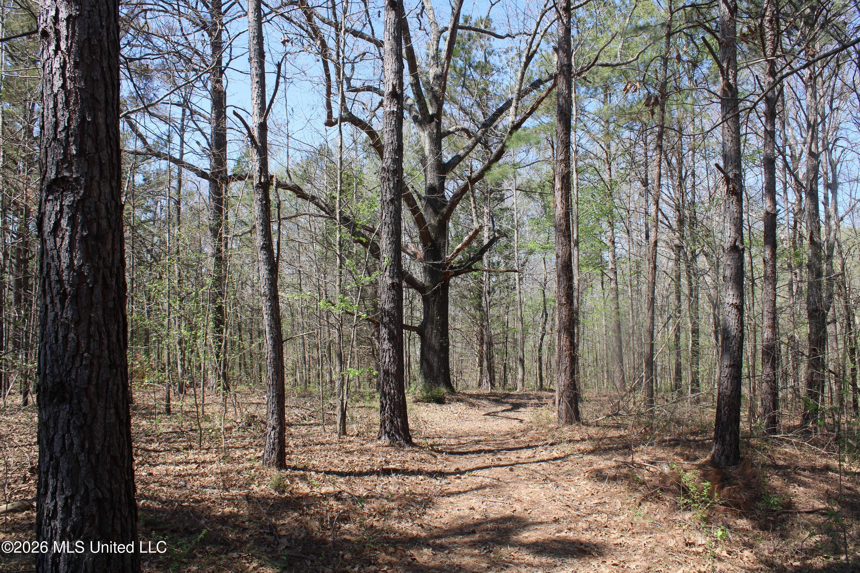 1200 Pottery Road Property Photo 20