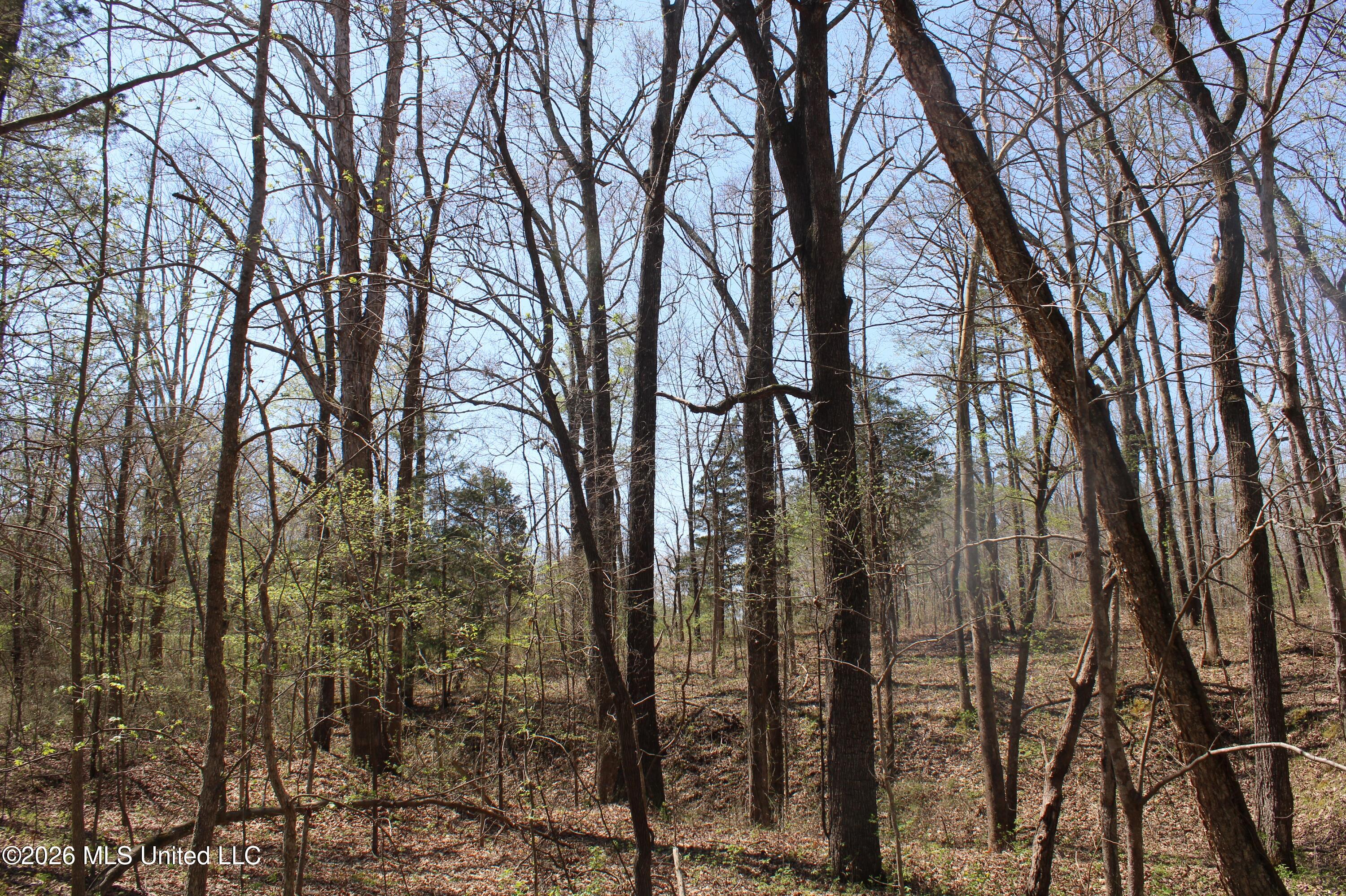 1200 Pottery Road Property Photo 21