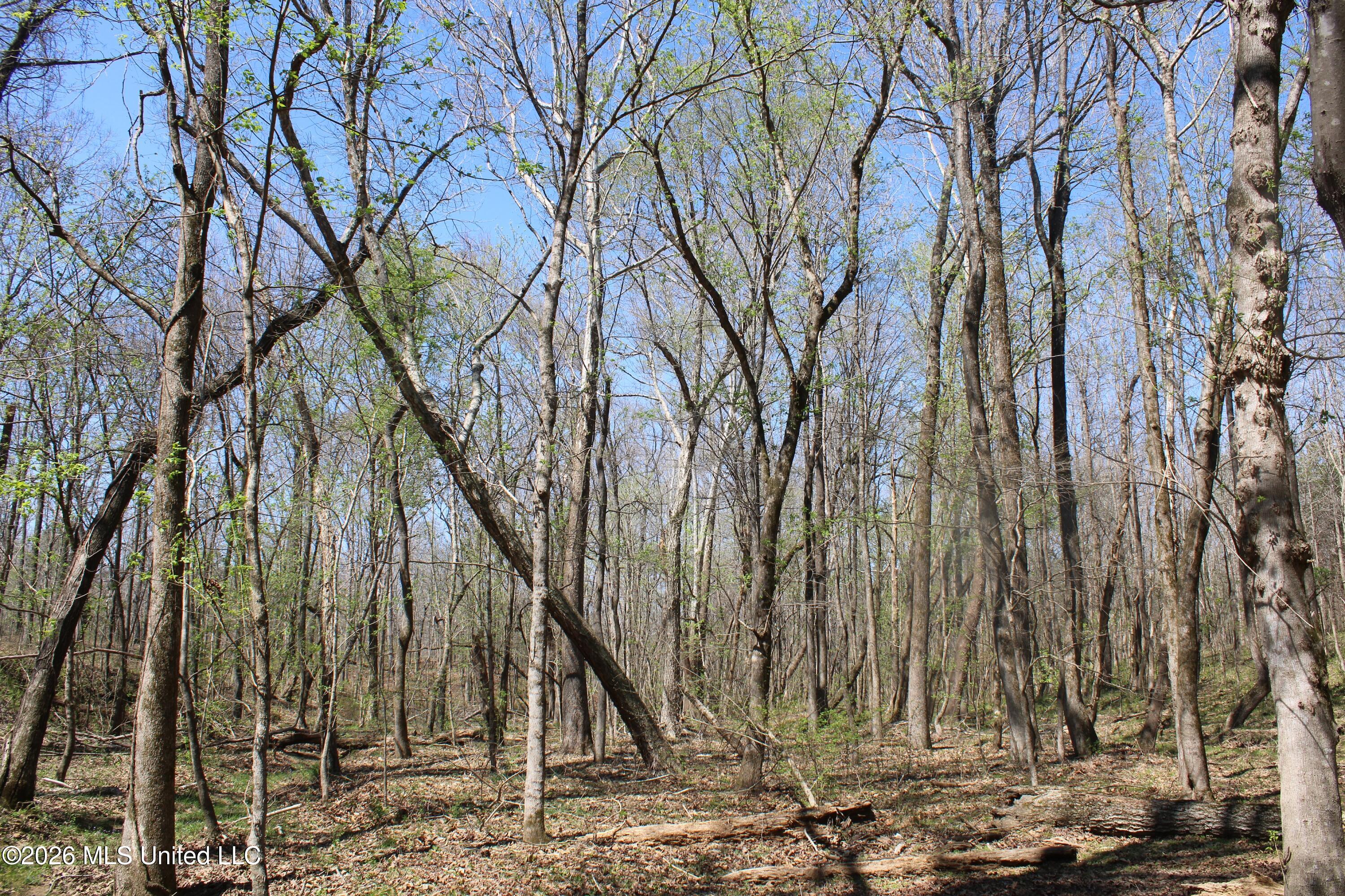 1200 Pottery Road Property Photo 22