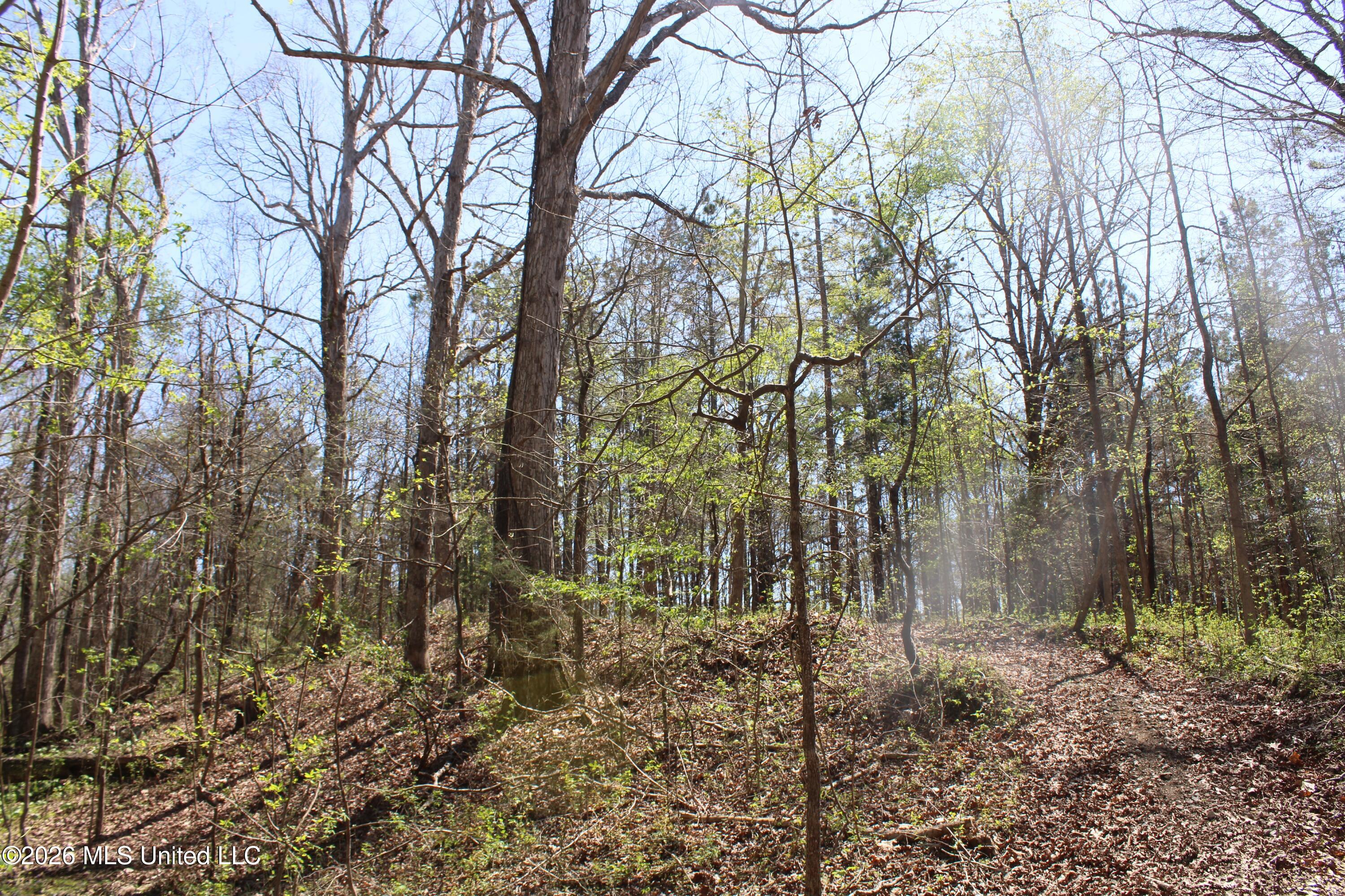 1200 Pottery Road Property Photo 23