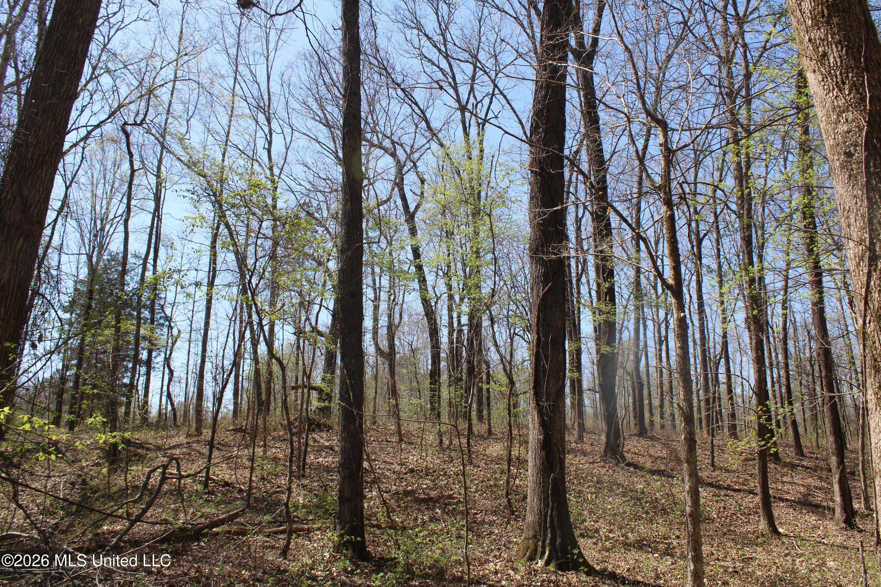 1200 Pottery Road Property Photo 24