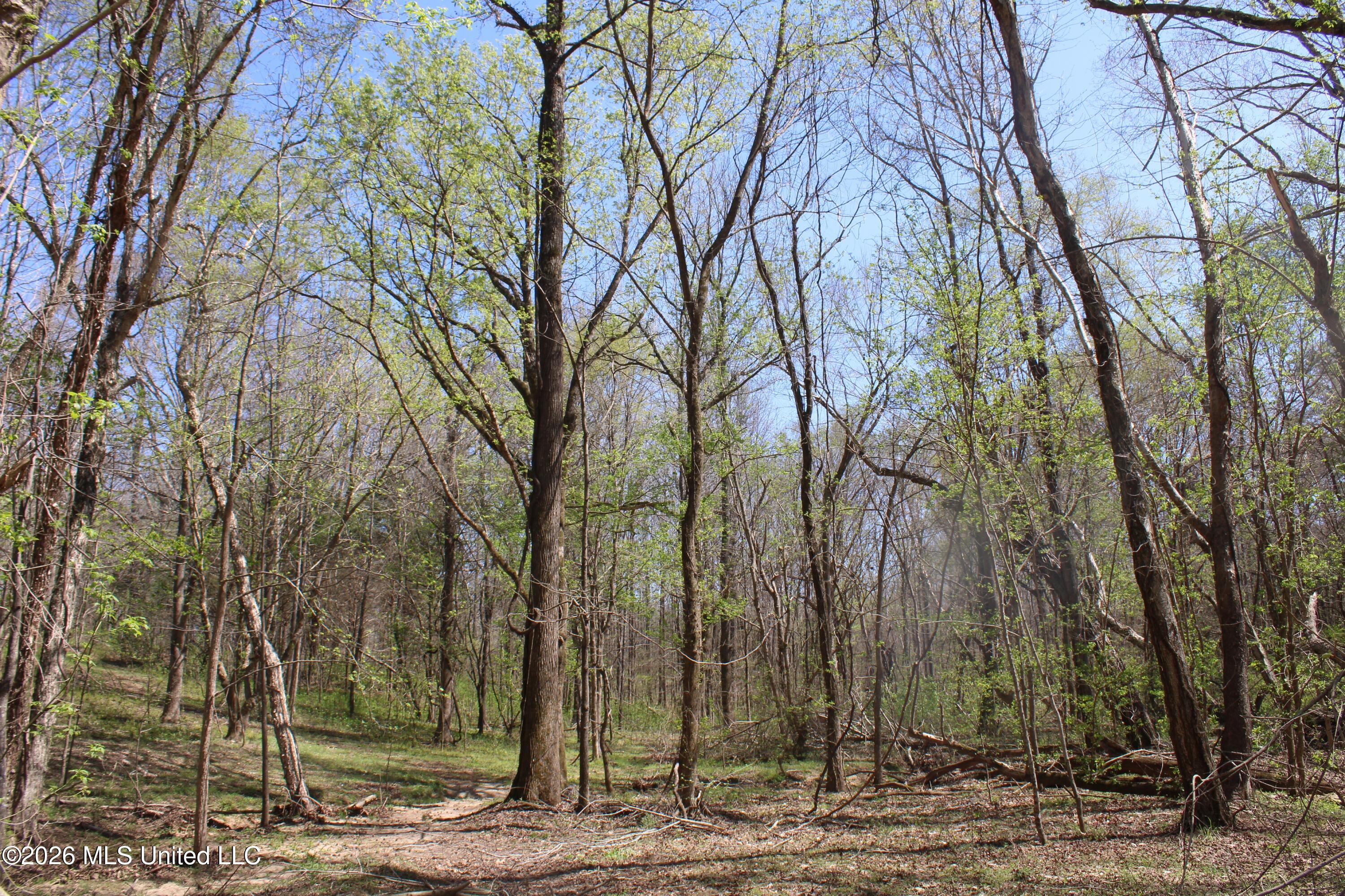 1200 Pottery Road Property Photo 25