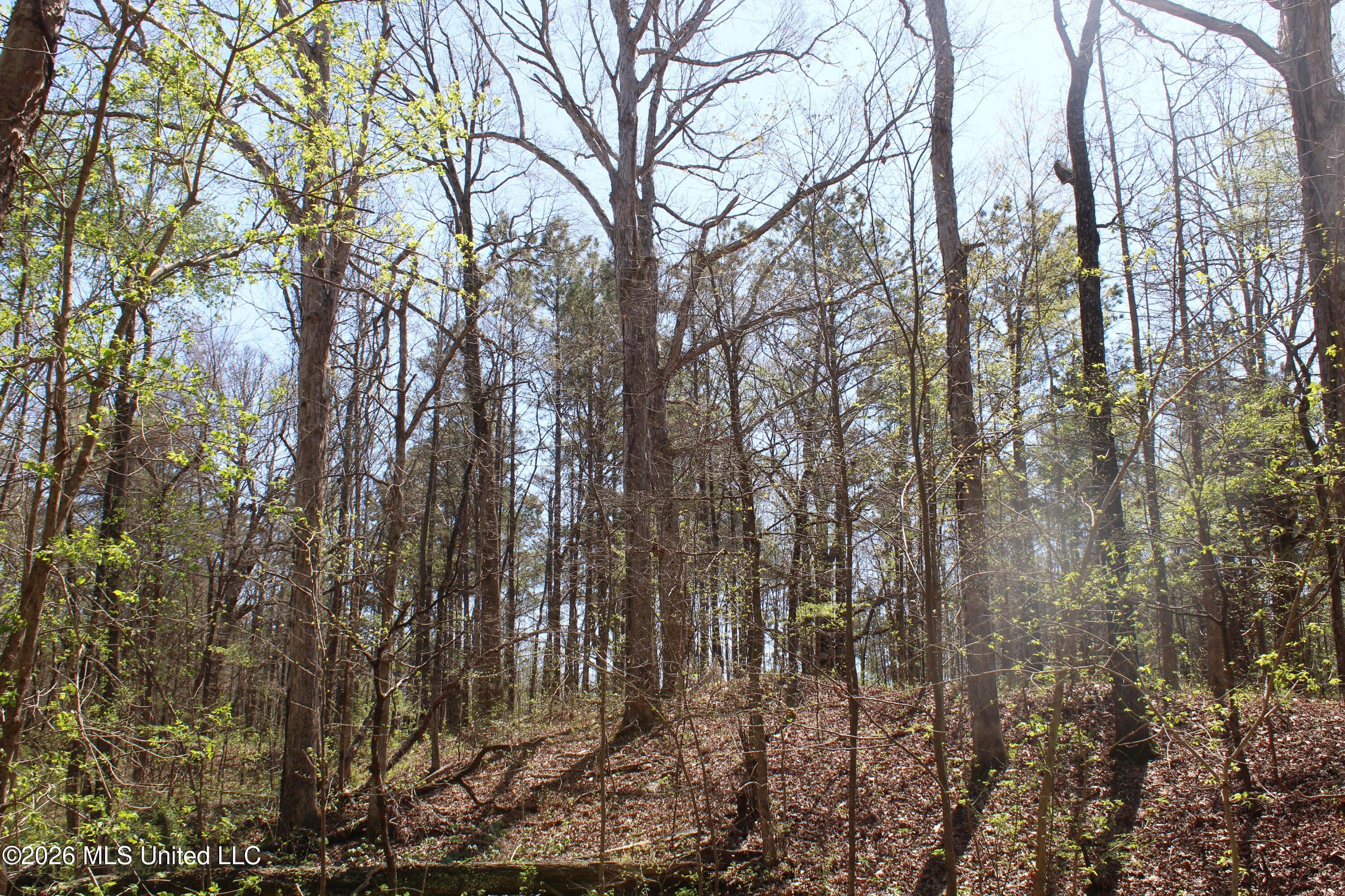 1200 Pottery Road Property Photo 26