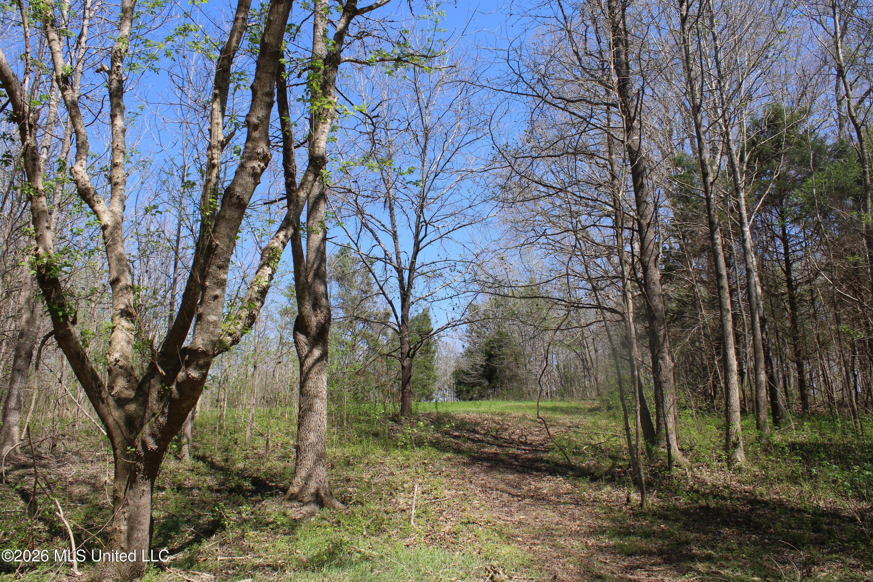 1200 Pottery Road Property Photo 27